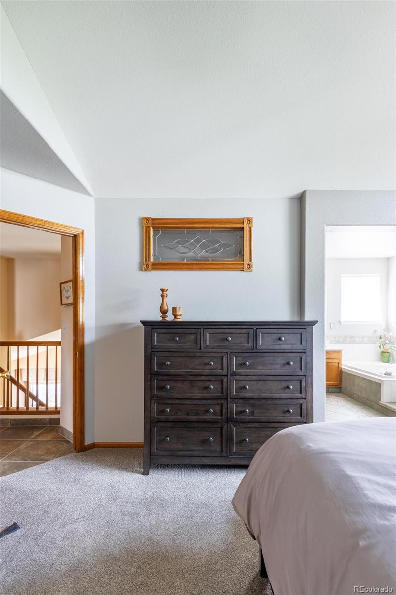 MLS Image #30 for 10218  woodrose court,highlands ranch, Colorado