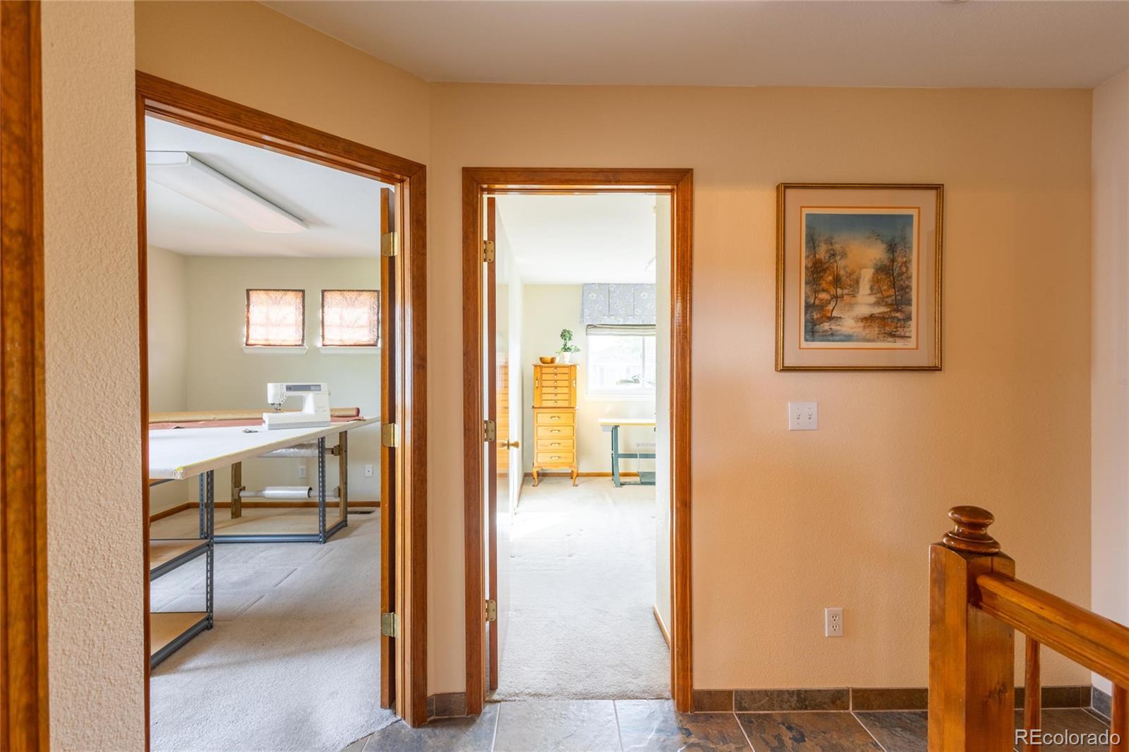 MLS Image #31 for 10218  woodrose court,highlands ranch, Colorado