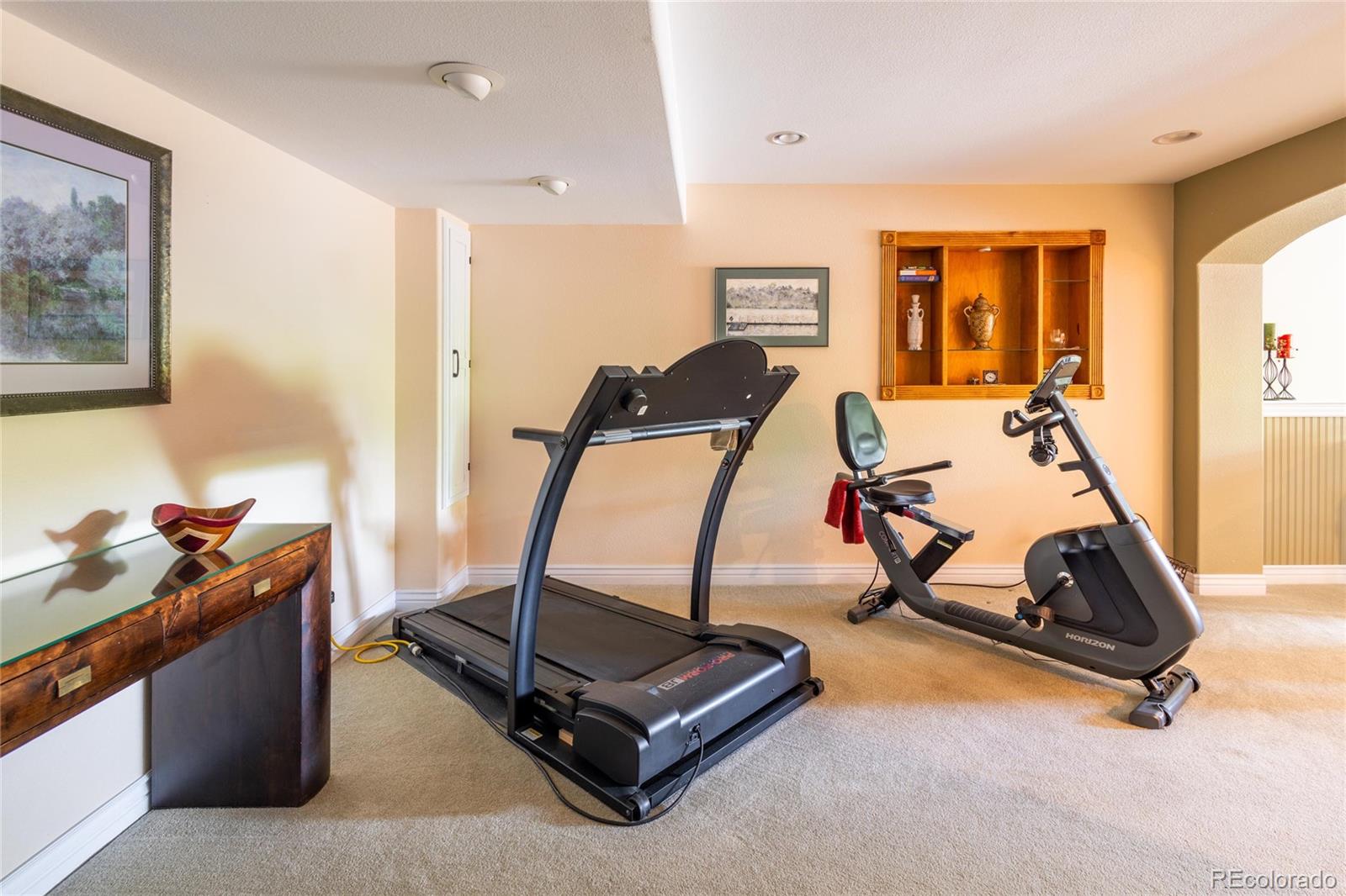 MLS Image #37 for 10218  woodrose court,highlands ranch, Colorado