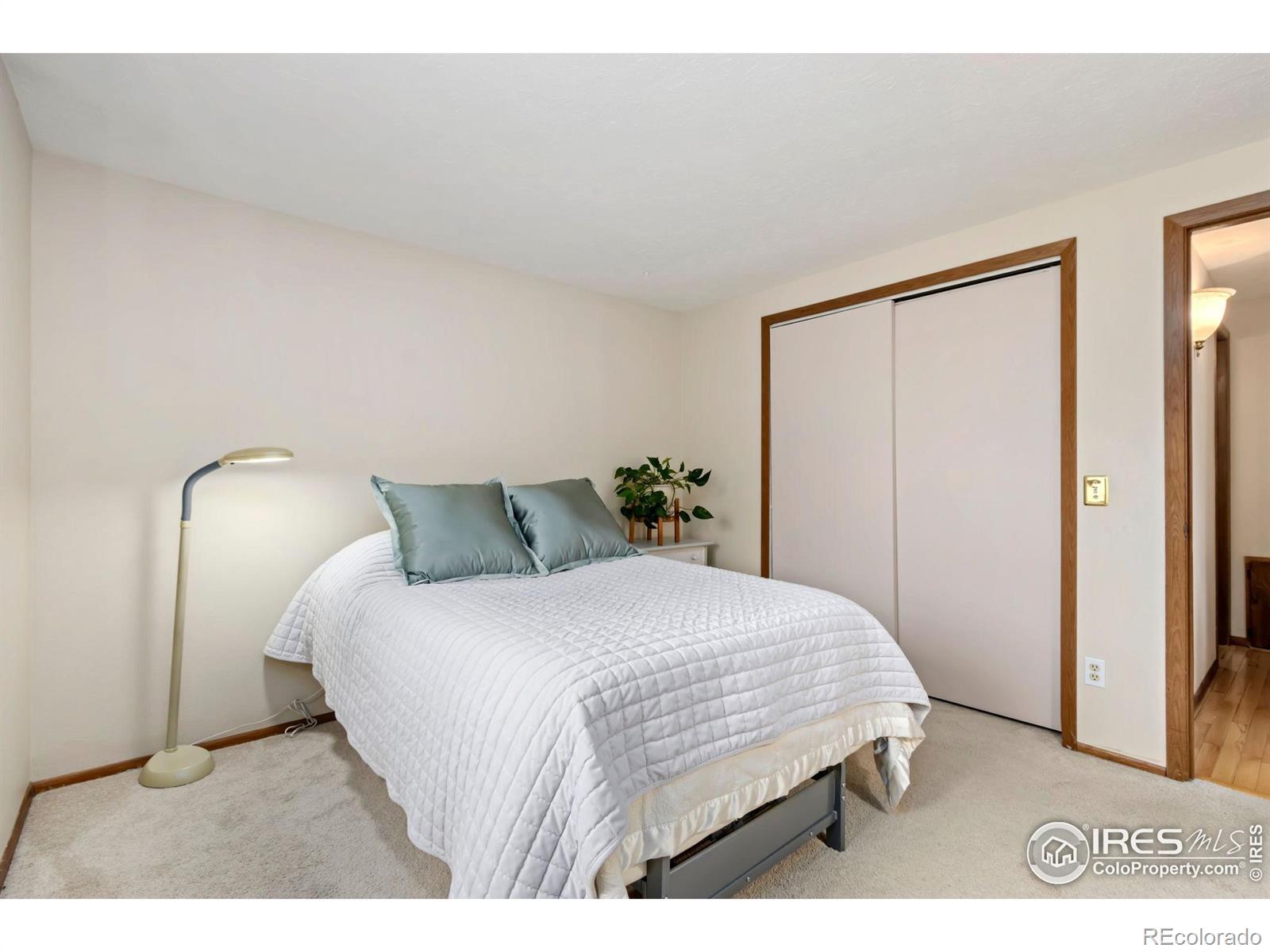 MLS Image #16 for 3301  downing court,fort collins, Colorado