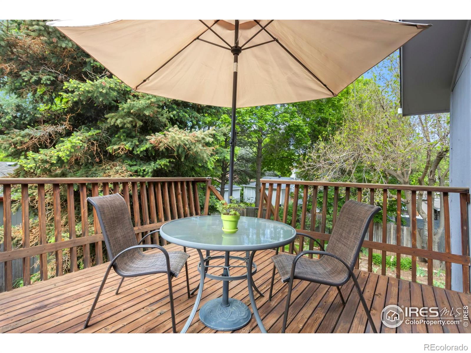 MLS Image #18 for 3301  downing court,fort collins, Colorado