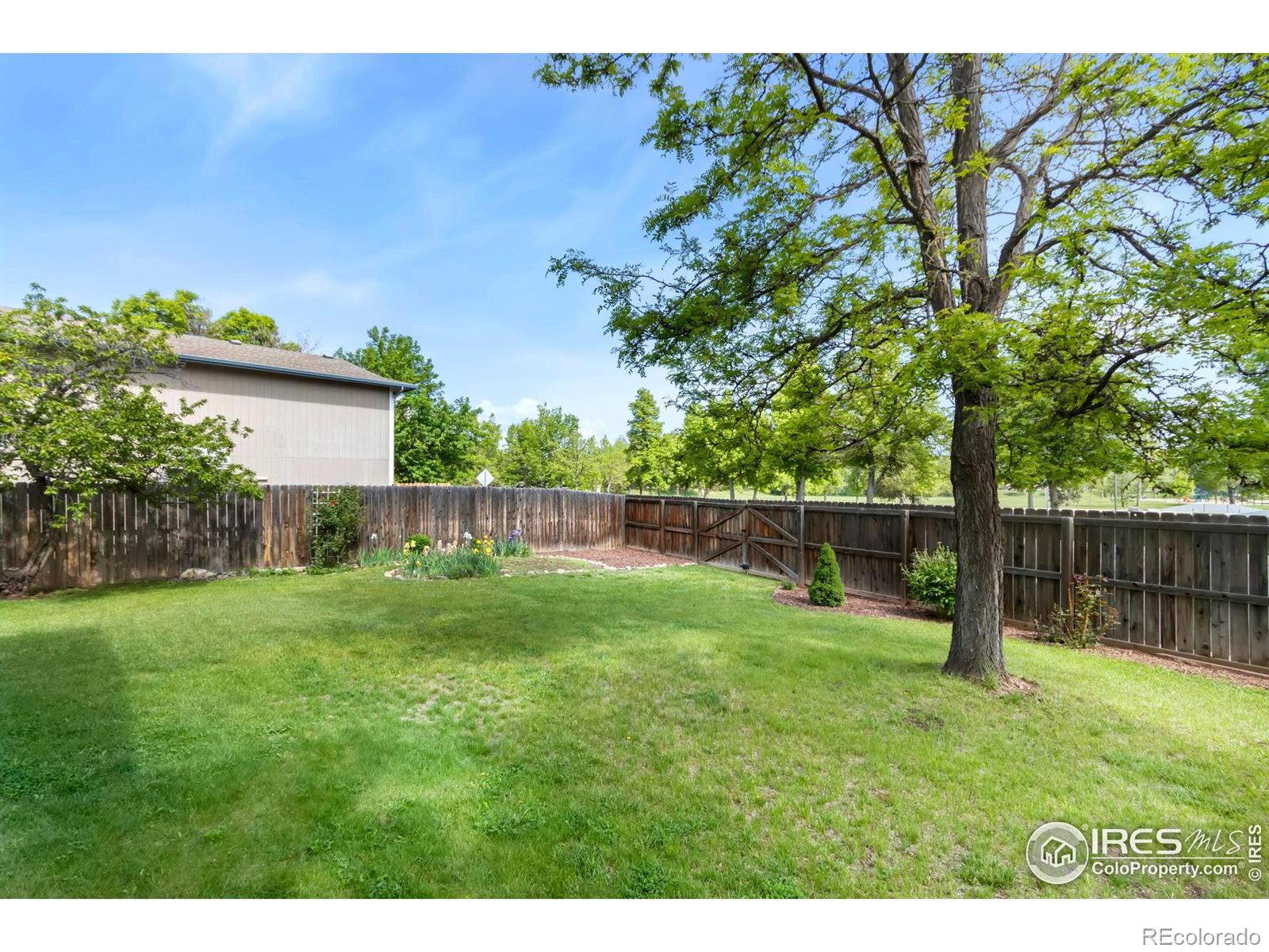 MLS Image #23 for 3301  downing court,fort collins, Colorado