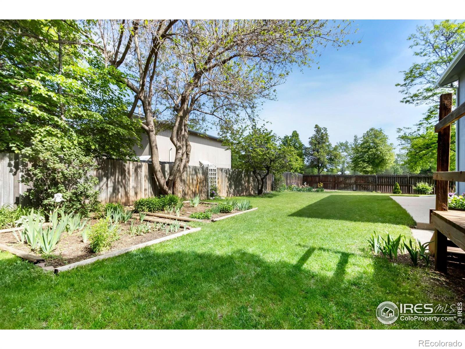 MLS Image #24 for 3301  downing court,fort collins, Colorado