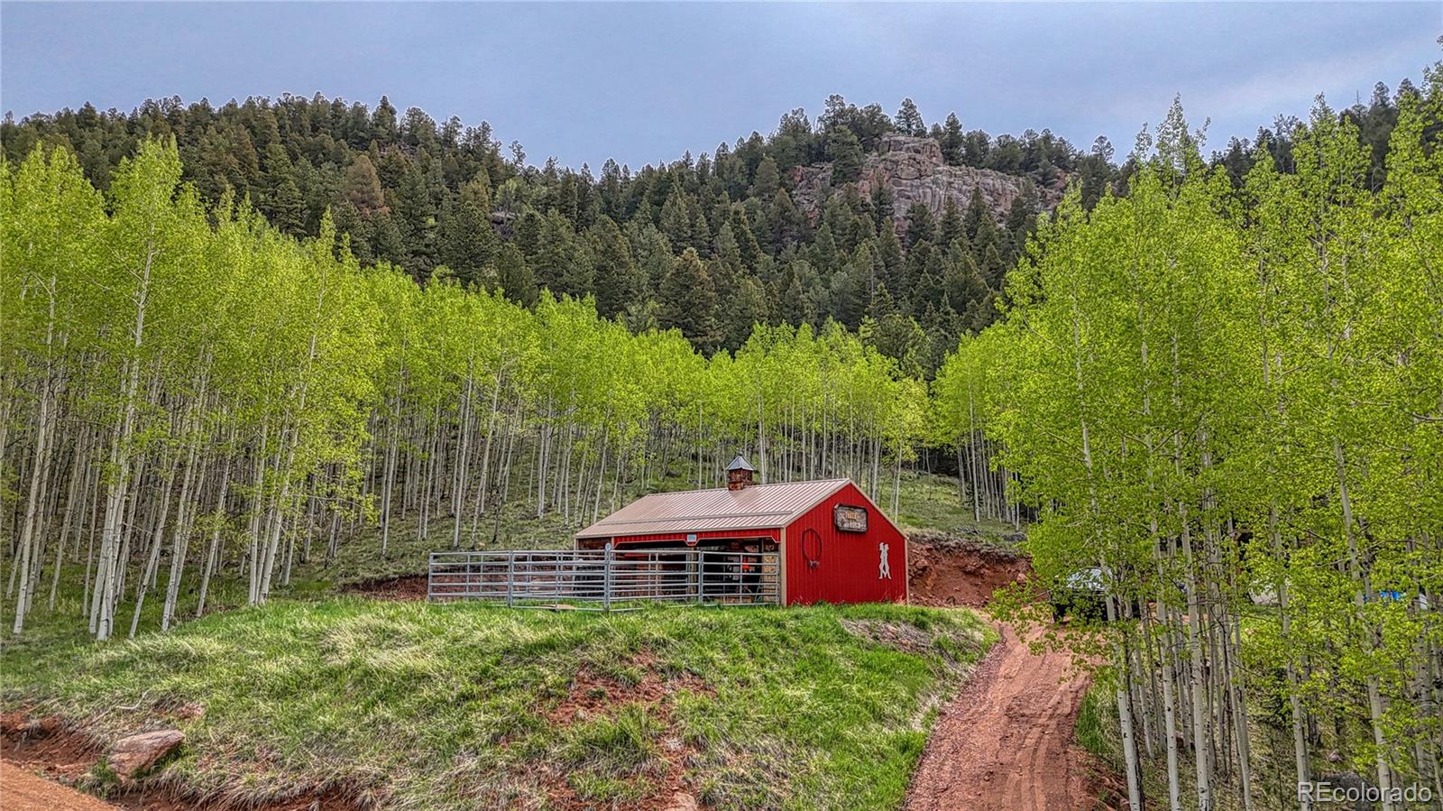 MLS Image #2 for 18766  state highway 67 ,divide, Colorado