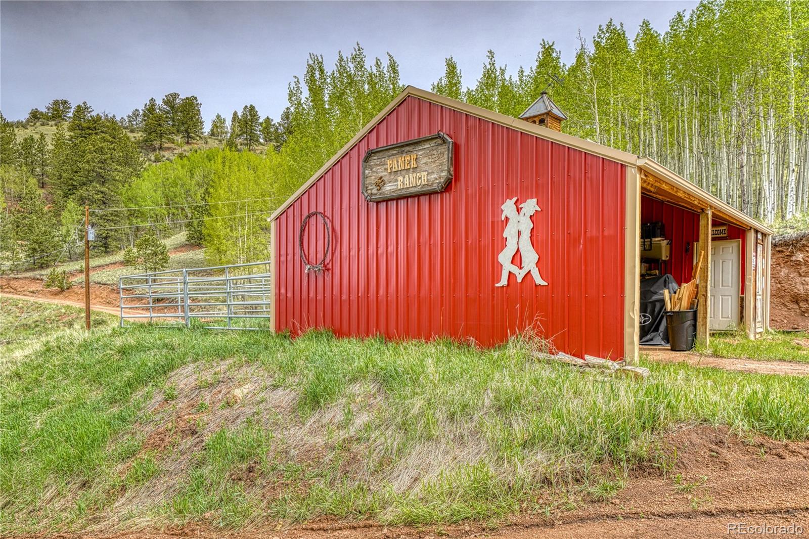 MLS Image #29 for 18766  state highway 67 ,divide, Colorado