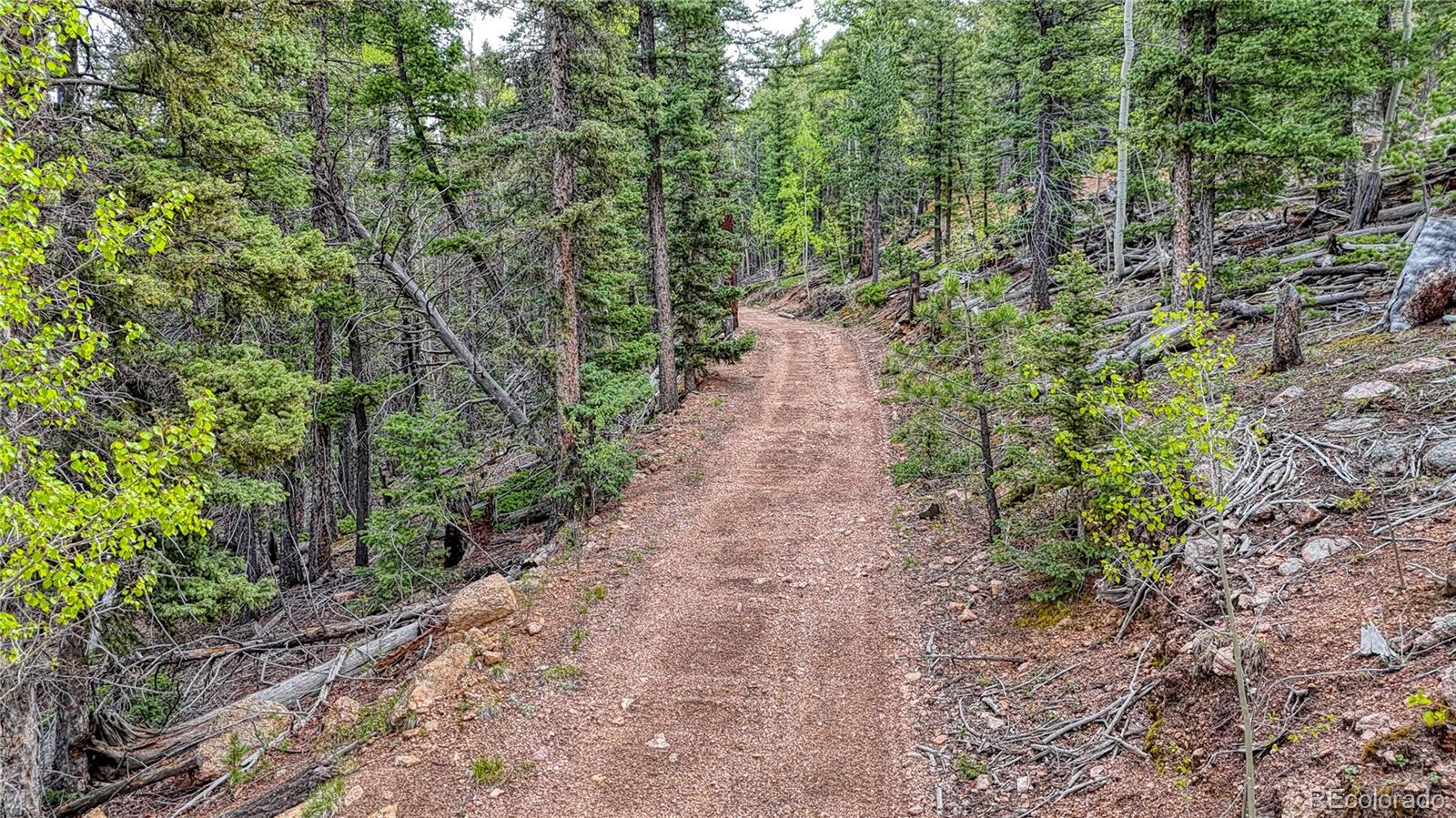 MLS Image #31 for 18766  state highway 67 ,divide, Colorado