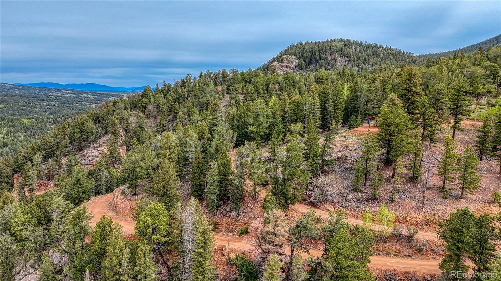 MLS Image #32 for 18766  state highway 67 ,divide, Colorado