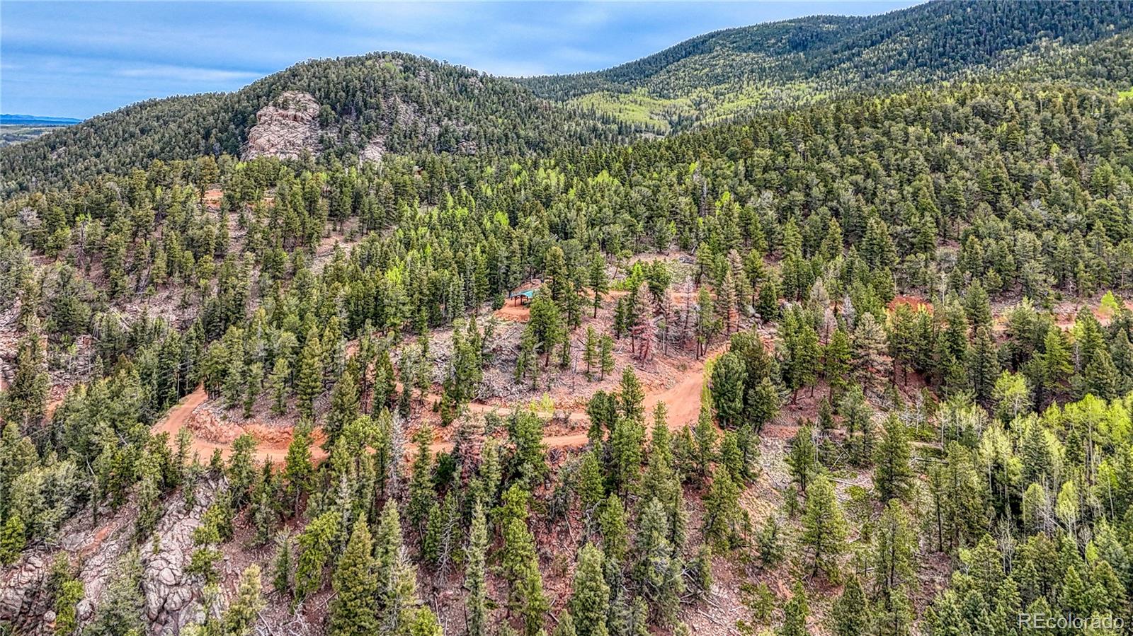 MLS Image #38 for 18766  state highway 67 ,divide, Colorado