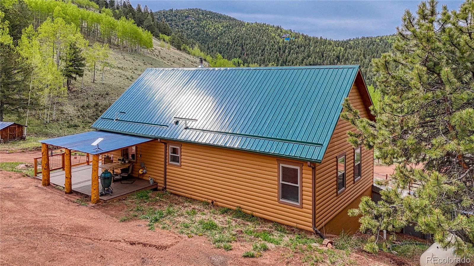 MLS Image #4 for 18766  state highway 67 ,divide, Colorado