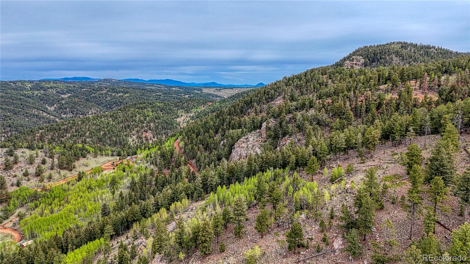 MLS Image #40 for 18766  state highway 67 ,divide, Colorado