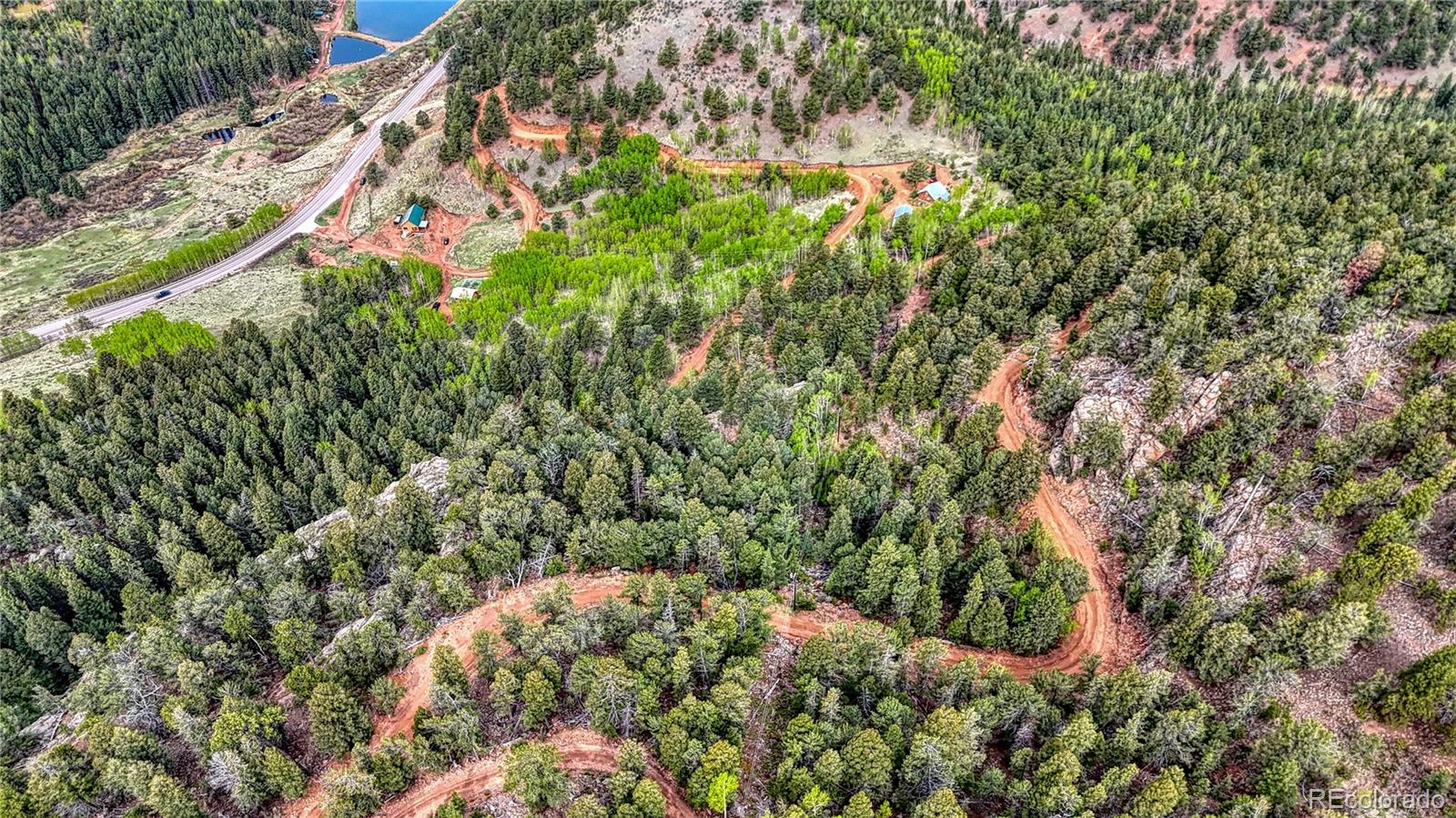 MLS Image #41 for 18766  state highway 67 ,divide, Colorado