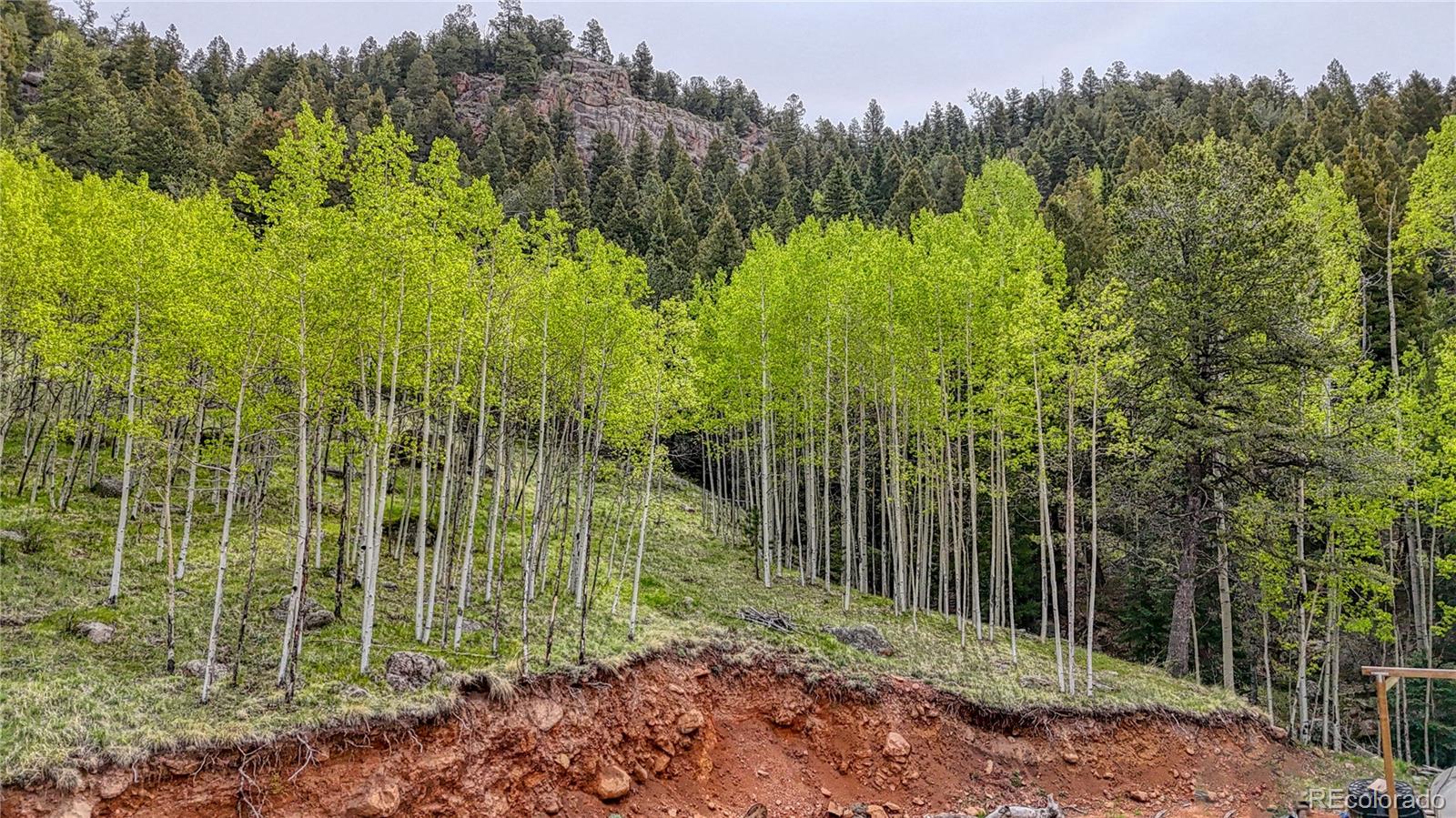 MLS Image #42 for 18766  state highway 67 ,divide, Colorado