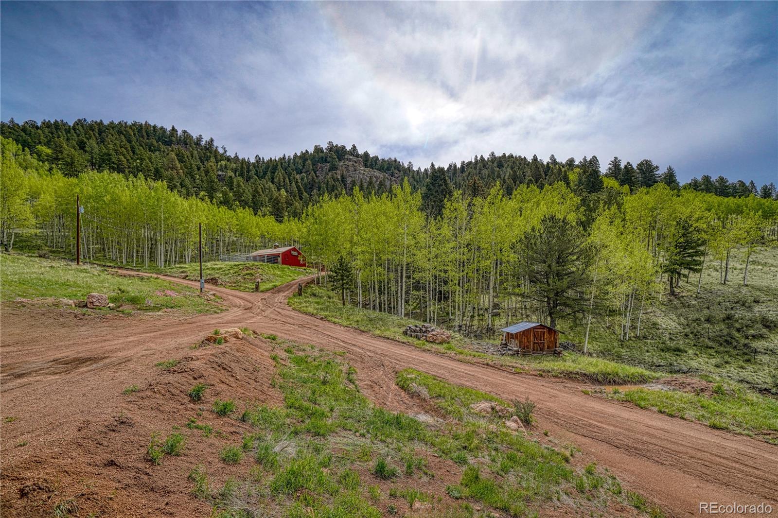MLS Image #46 for 18766  state highway 67 ,divide, Colorado