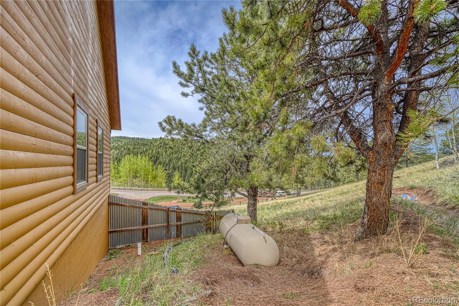 MLS Image #47 for 18766  state highway 67 ,divide, Colorado