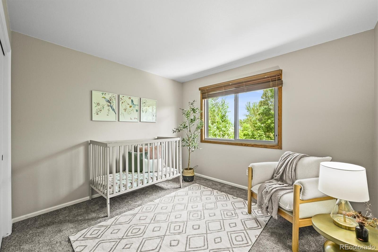 MLS Image #21 for 11072  zephyr street,broomfield, Colorado