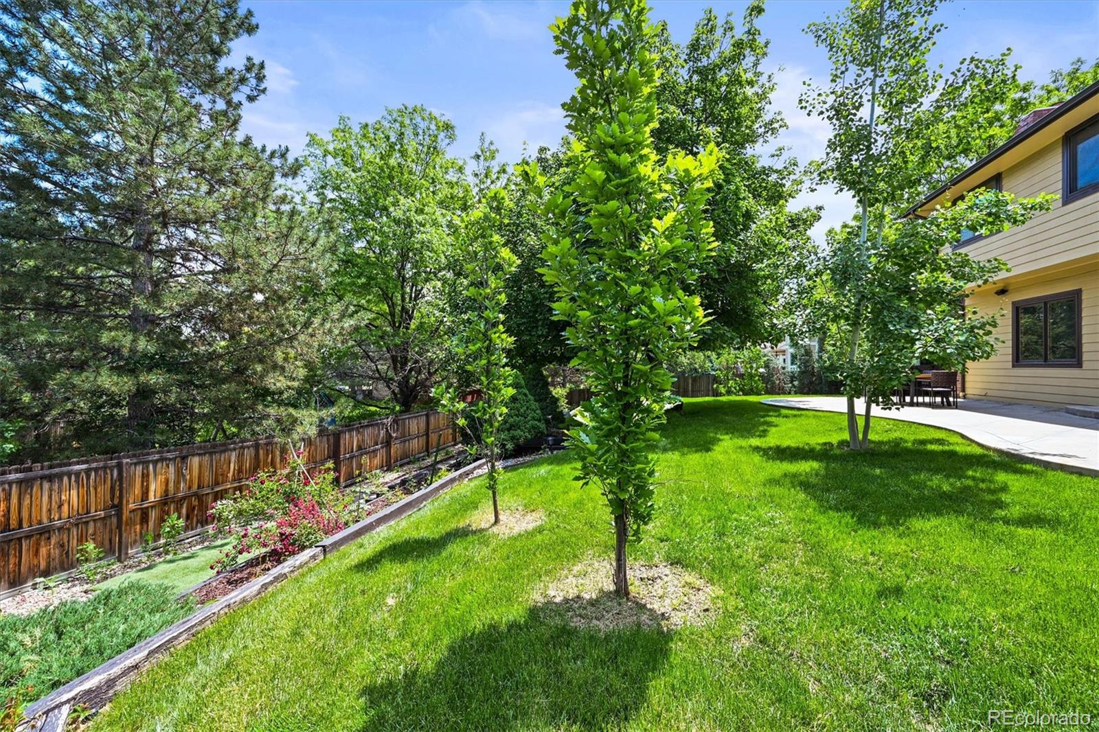 MLS Image #28 for 11072  zephyr street,broomfield, Colorado