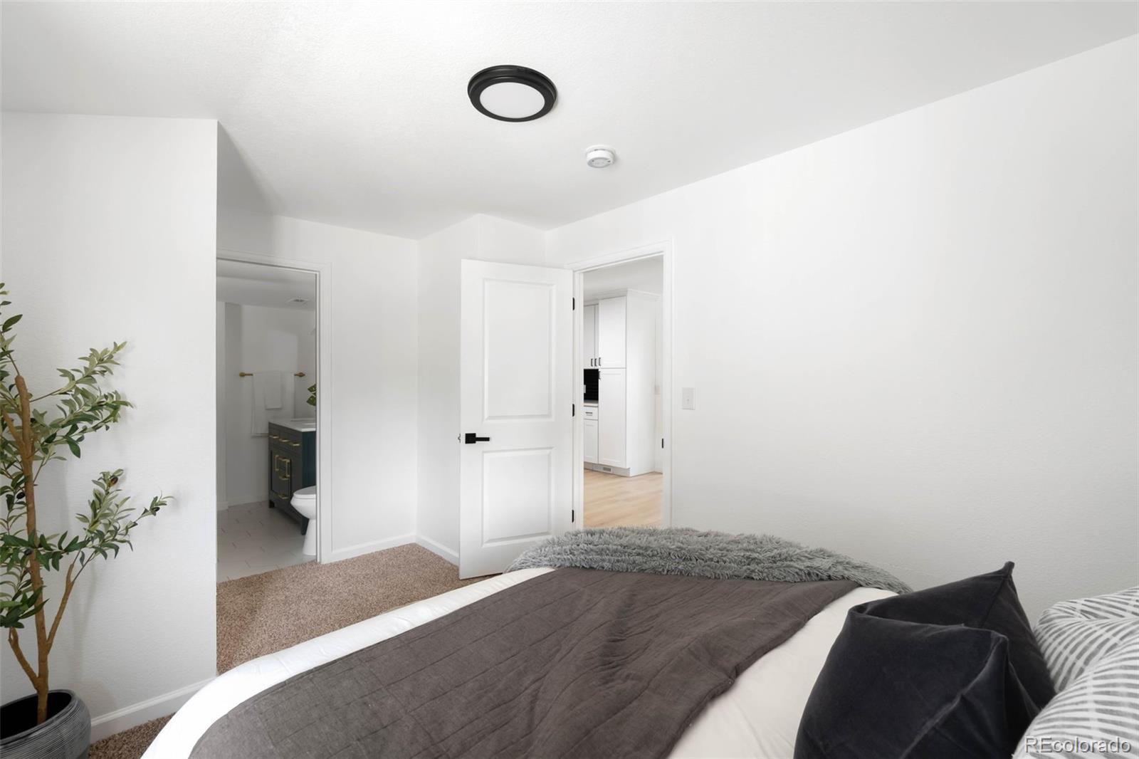 MLS Image #16 for 461 s lowell boulevard,denver, Colorado