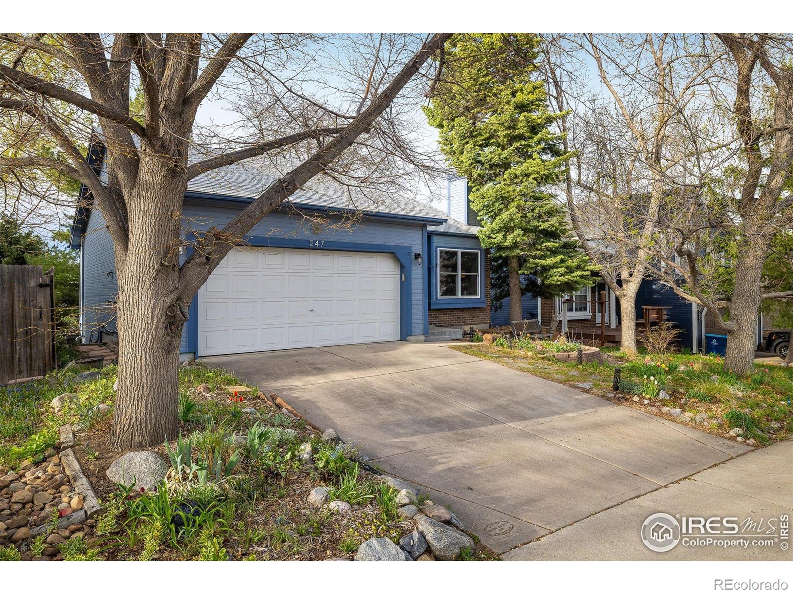 MLS Image #2 for 247  regal street,louisville, Colorado