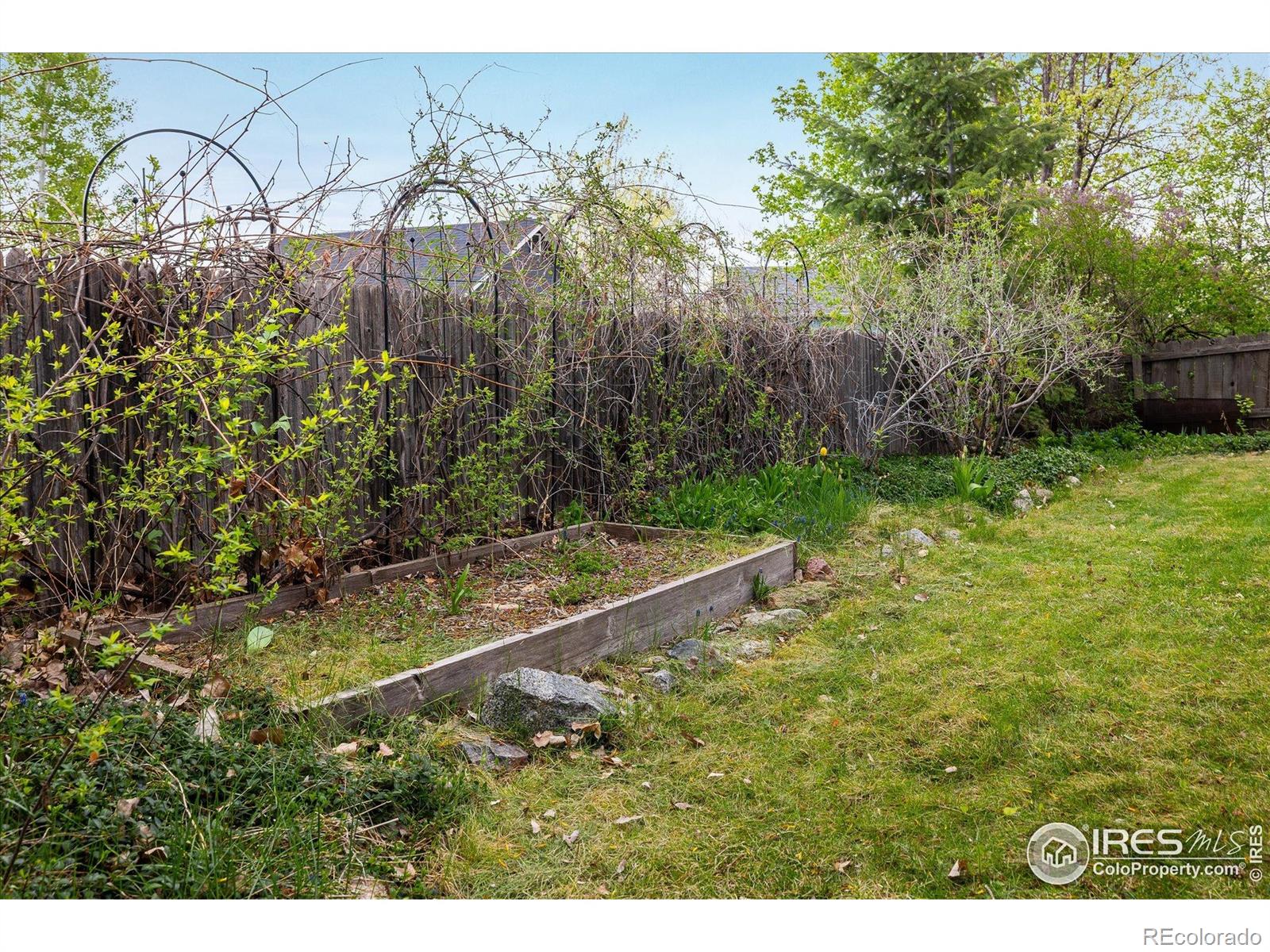 MLS Image #23 for 247  regal street,louisville, Colorado