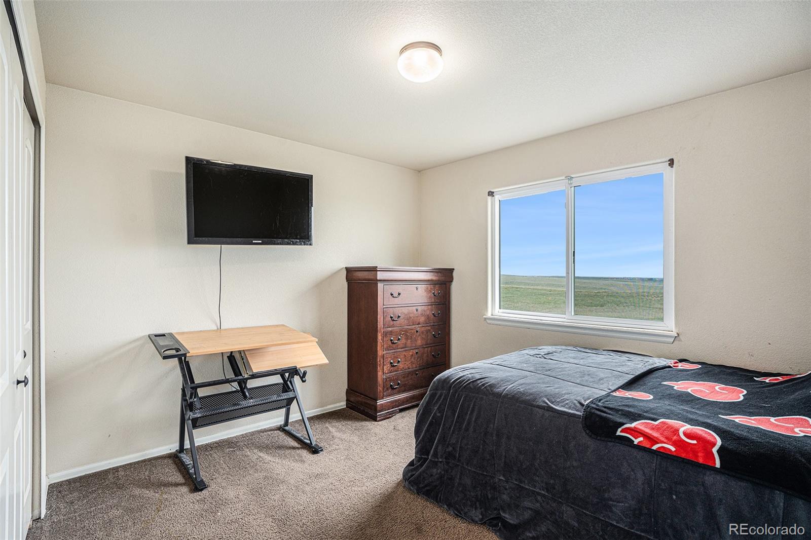 MLS Image #14 for 6389  san mateo drive,colorado springs, Colorado