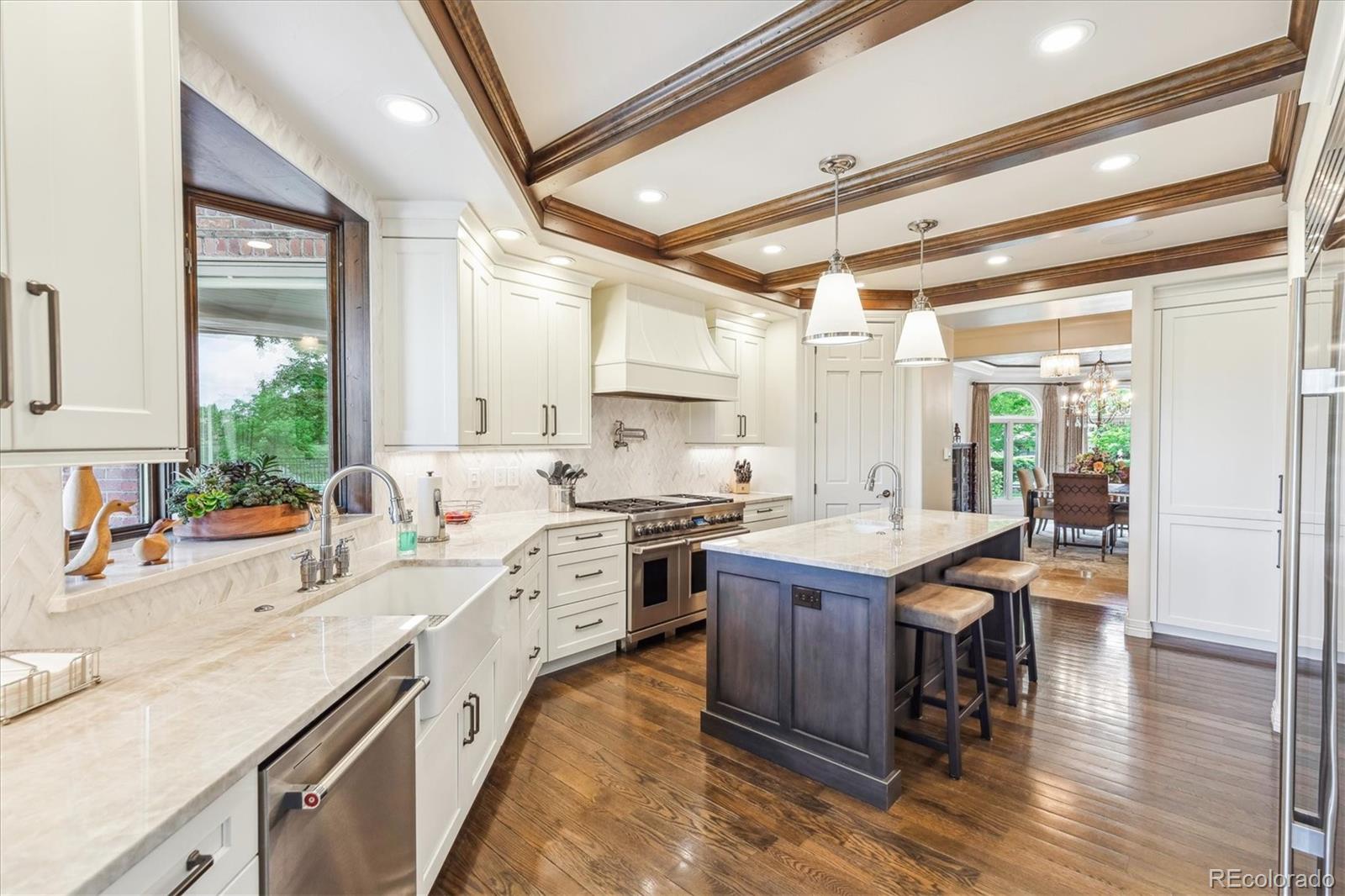 MLS Image #8 for 13  buell mansion parkway,englewood, Colorado