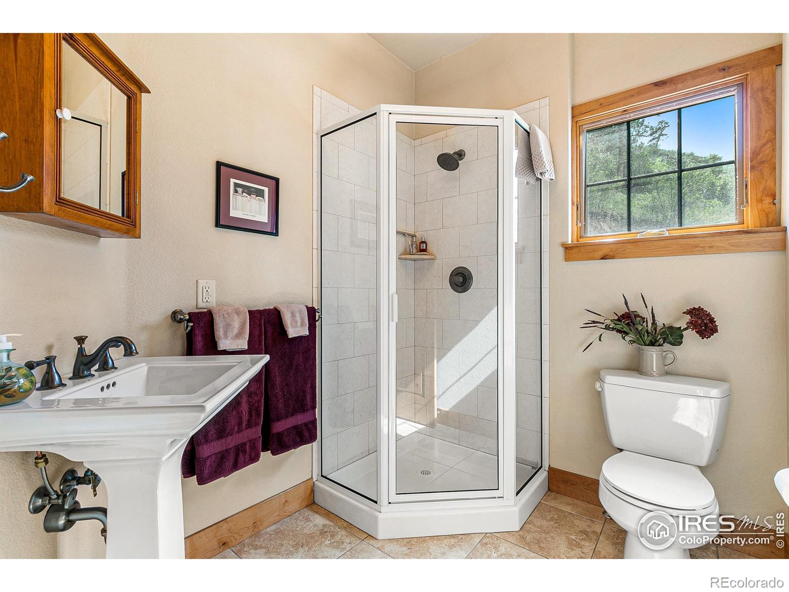 MLS Image #19 for 16996 n saint vrain drive,lyons, Colorado