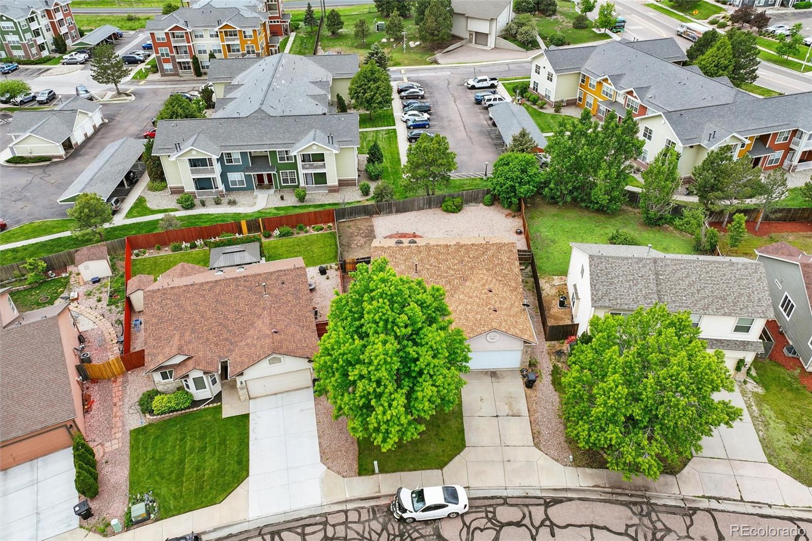 MLS Image #2 for 1455  brush oak drive,colorado springs, Colorado