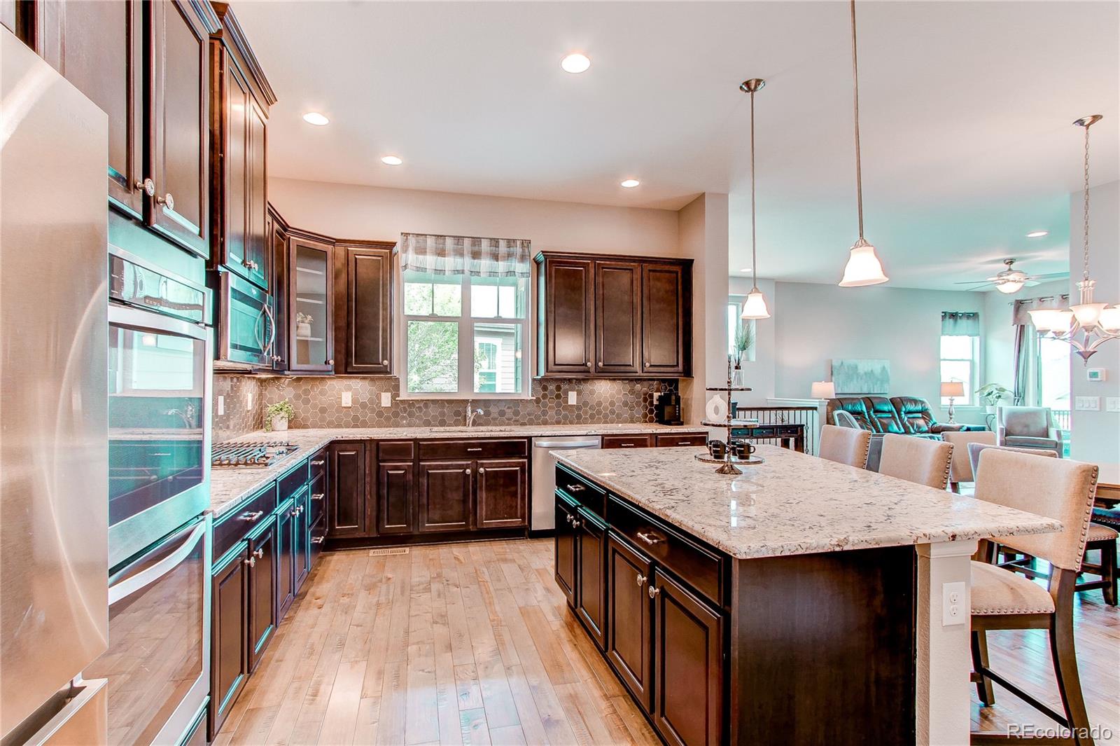 MLS Image #9 for 3367  new haven circle,castle rock, Colorado