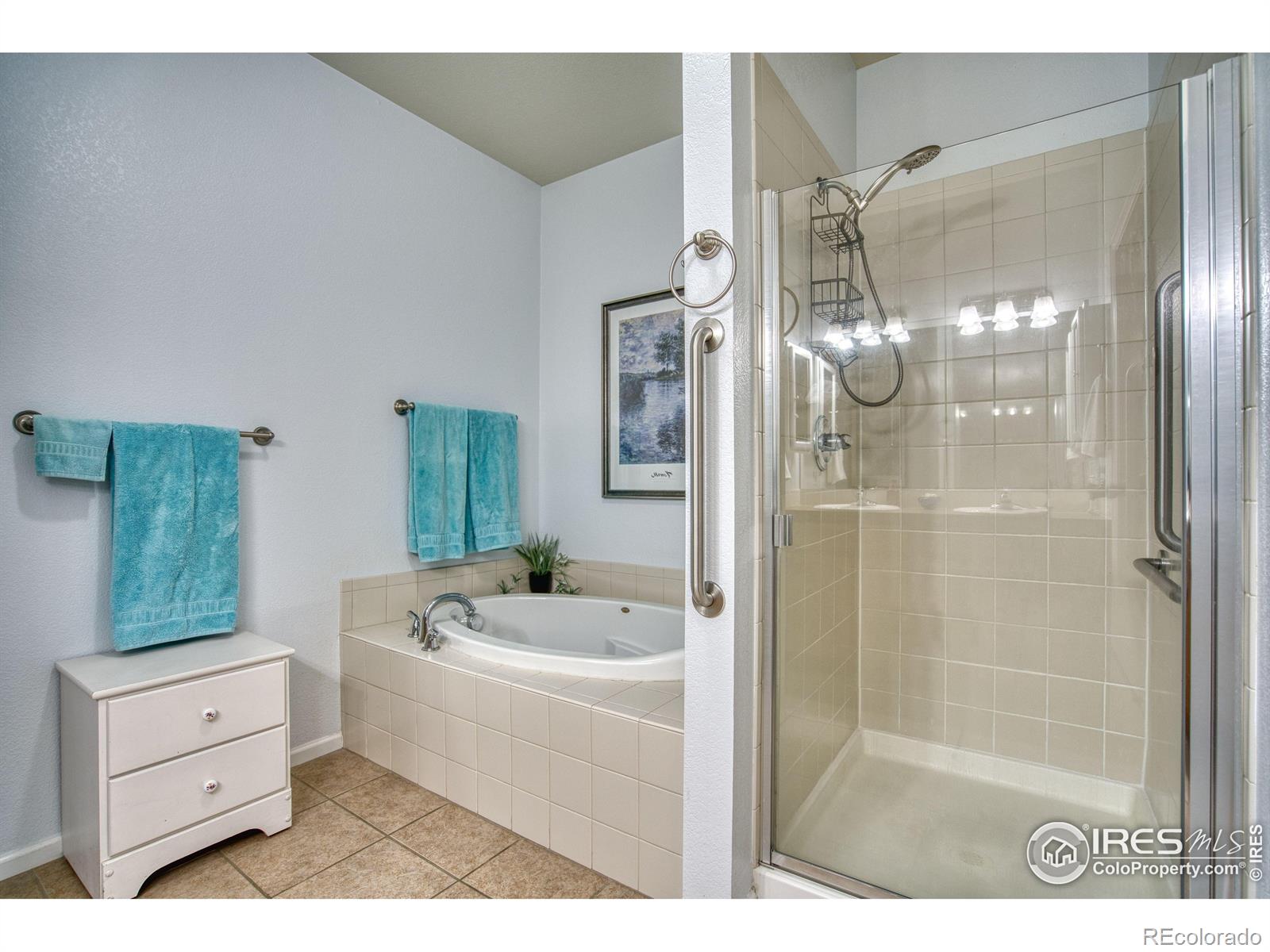 MLS Image #18 for 10818  cimarron street,firestone, Colorado
