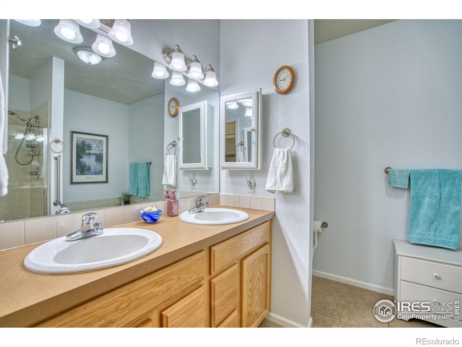 MLS Image #20 for 10818  cimarron street,firestone, Colorado