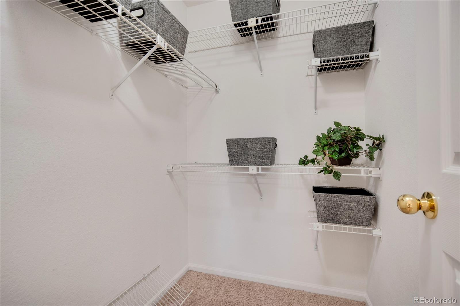 MLS Image #20 for 9160 e arbor circle,englewood, Colorado