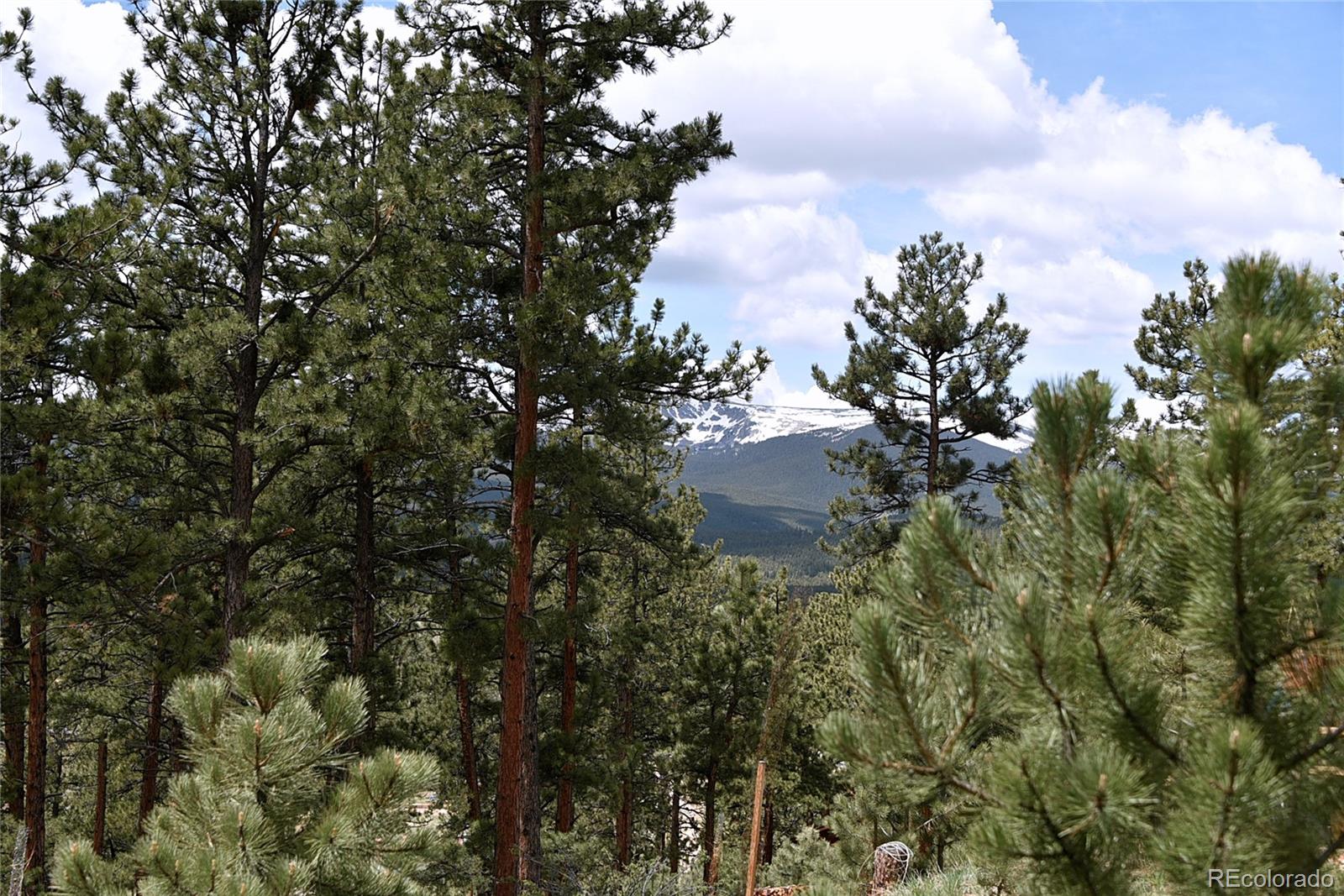 MLS Image #19 for 60  ball road,bailey, Colorado