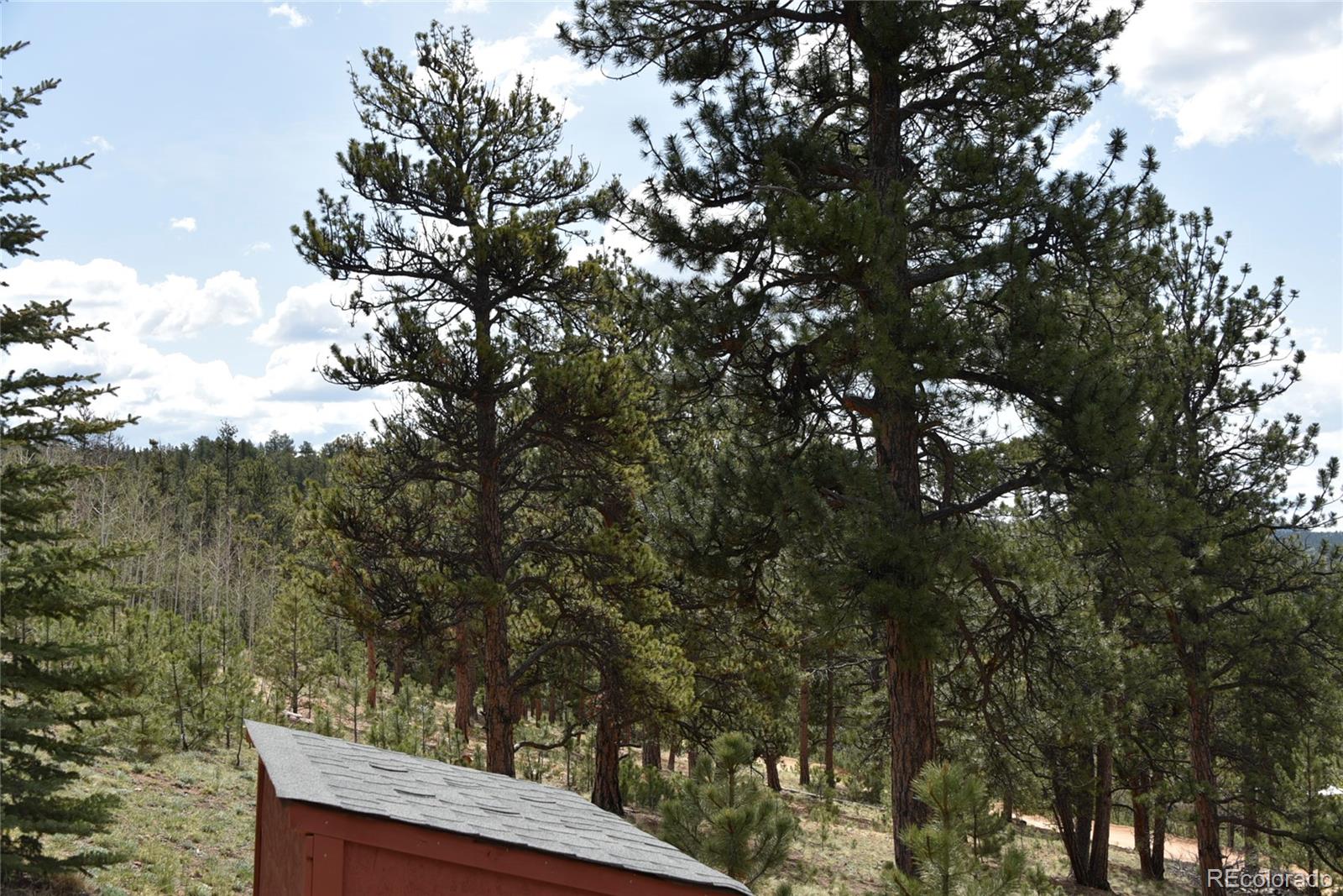 MLS Image #20 for 60  ball road,bailey, Colorado