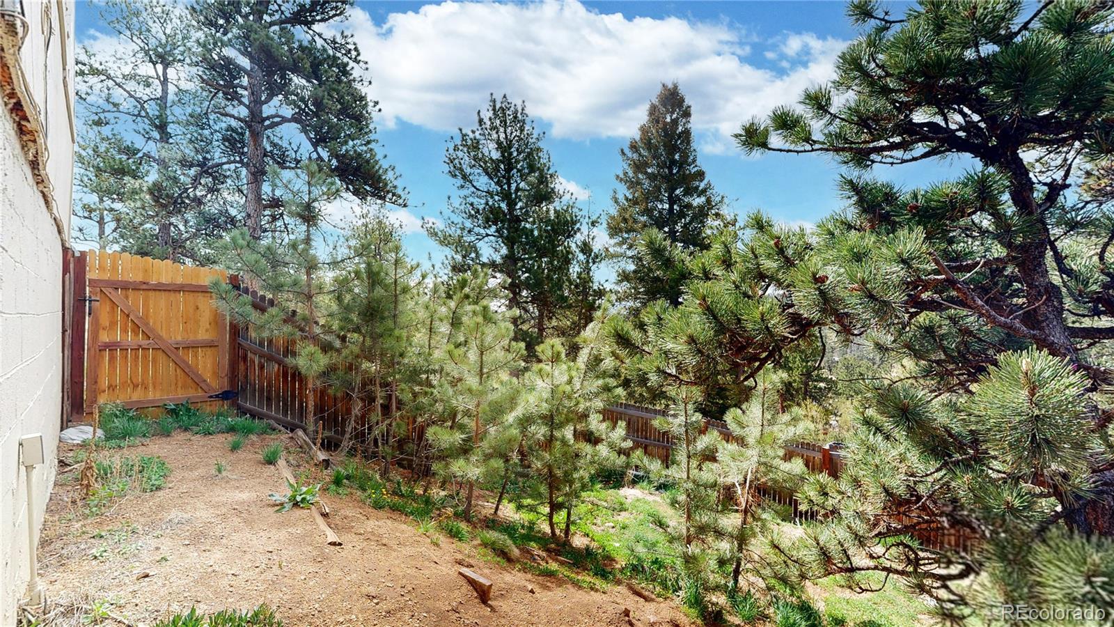 MLS Image #29 for 60  ball road,bailey, Colorado