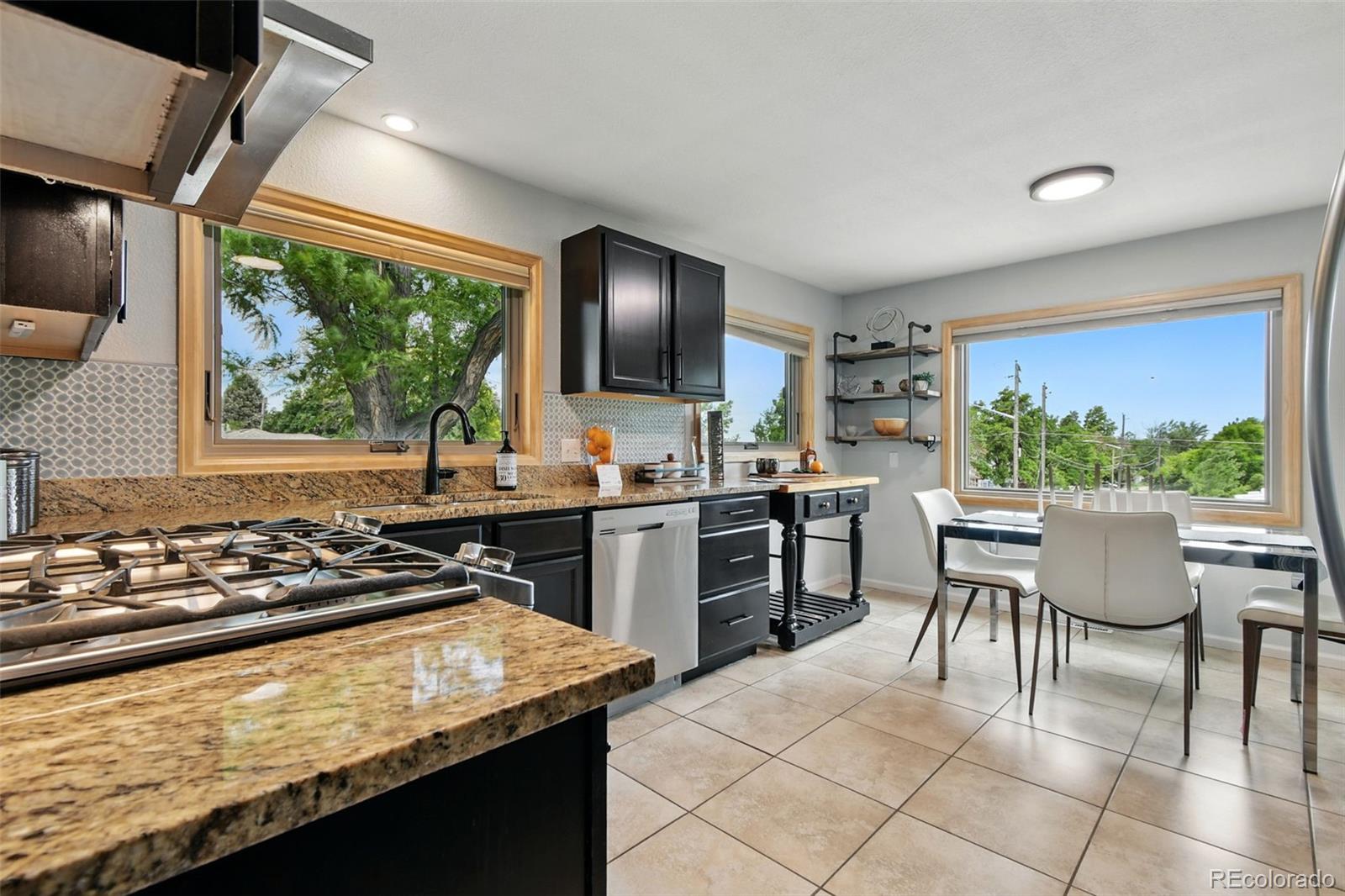 MLS Image #14 for 6205  pierce street,arvada, Colorado