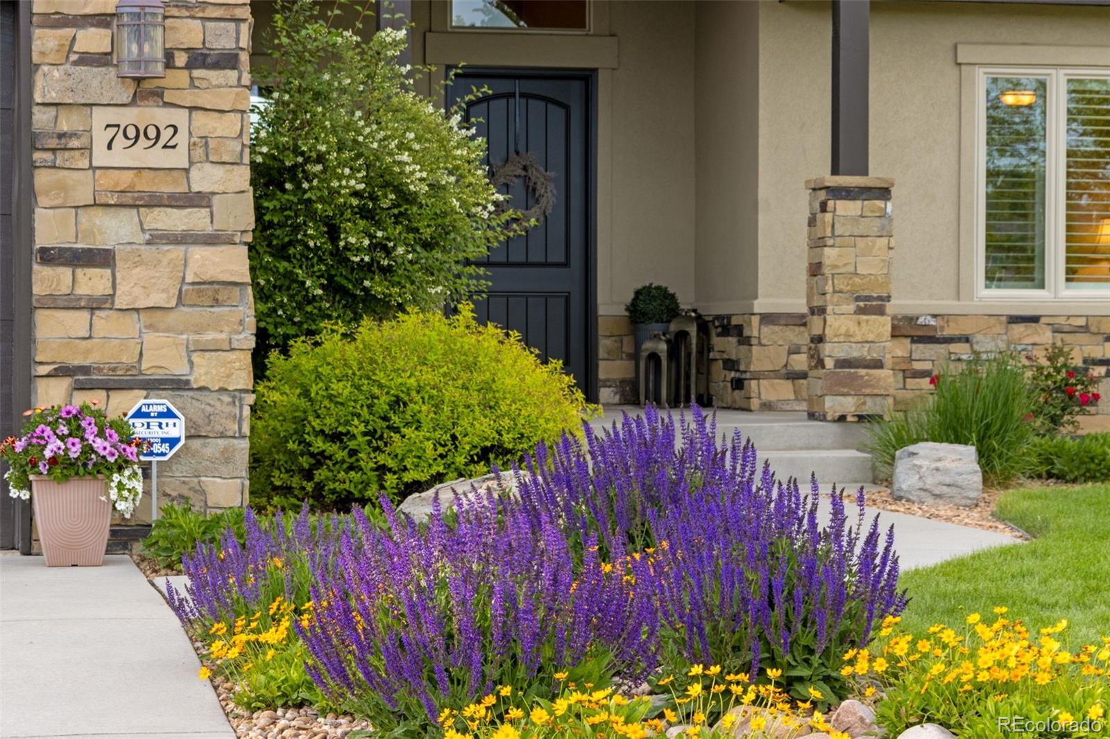 MLS Image #3 for 7992  rising sun court,windsor, Colorado