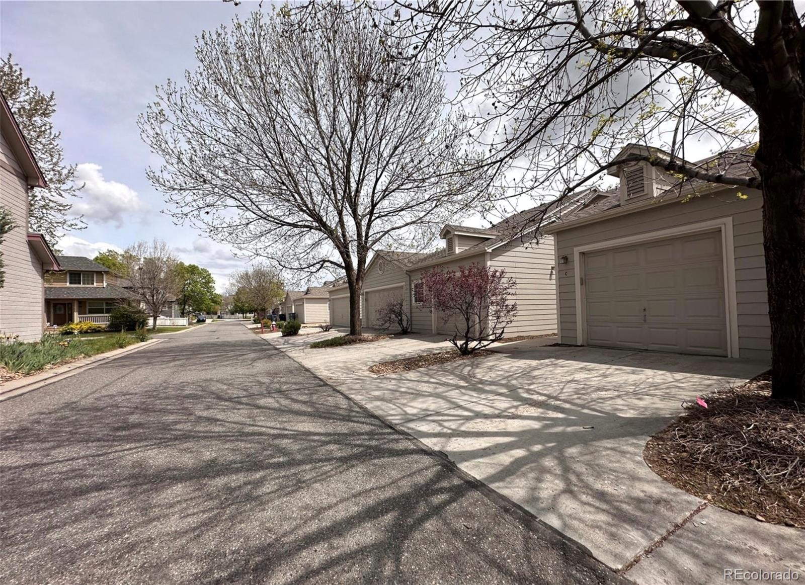 MLS Image #27 for 438 n parkside drive,longmont, Colorado