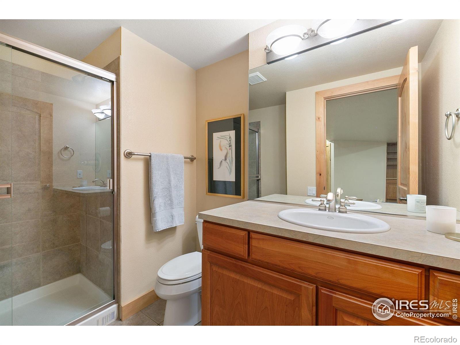 MLS Image #26 for 1424  silk oak drive,fort collins, Colorado