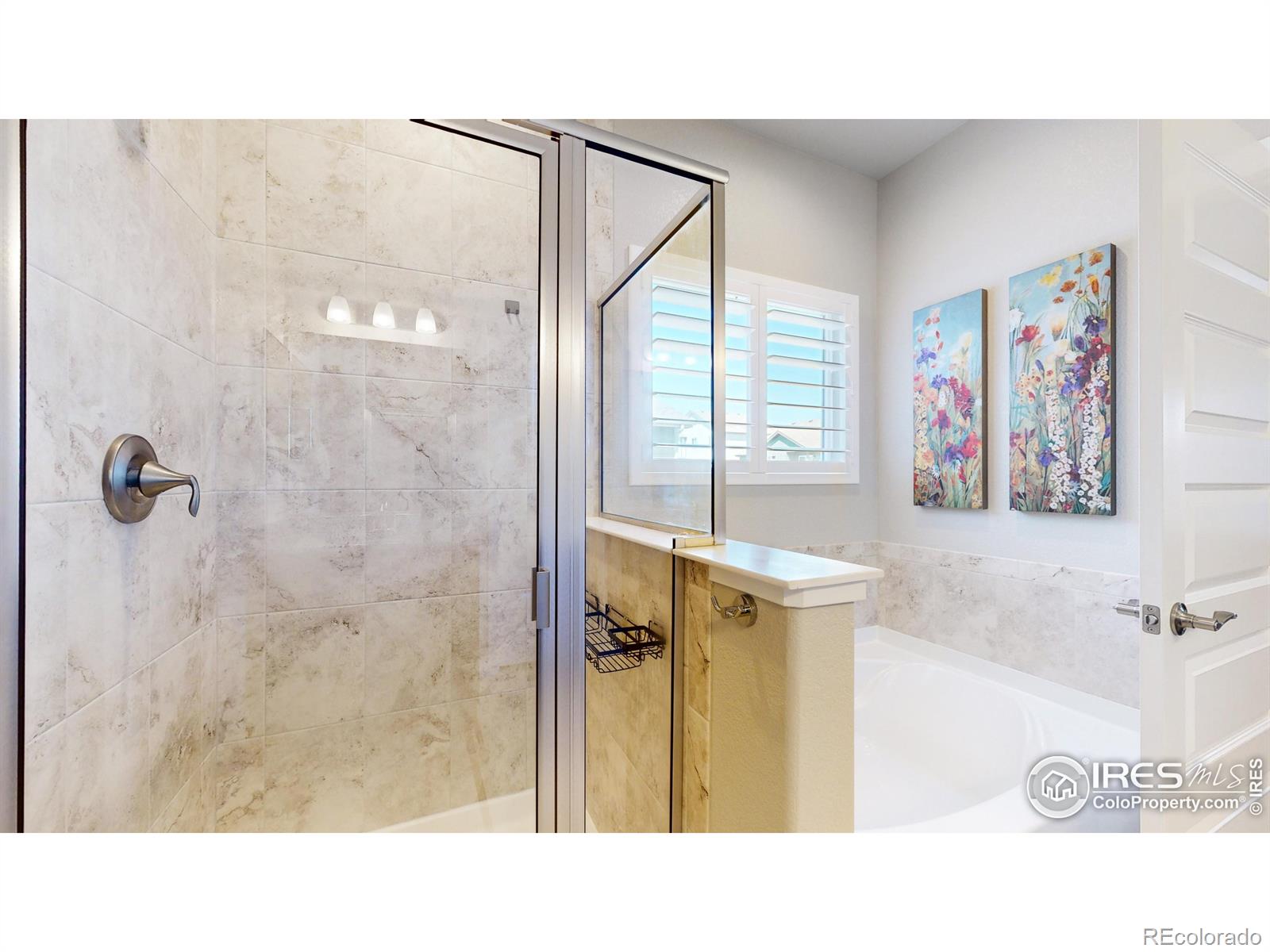 MLS Image #19 for 1384  copeland falls road,severance, Colorado