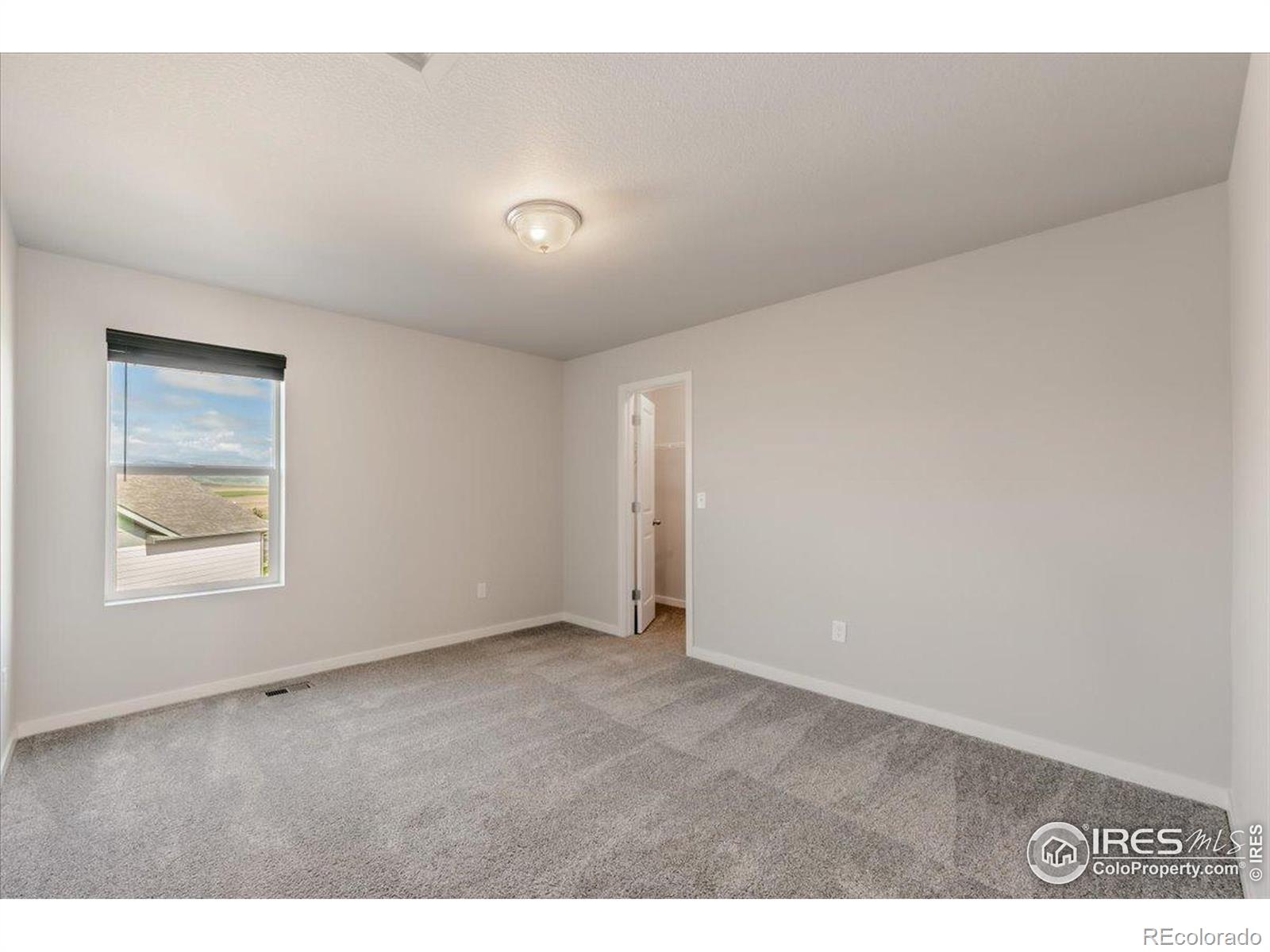 MLS Image #15 for 1711  lazear street,loveland, Colorado