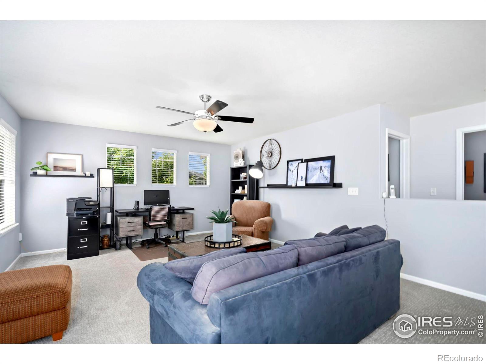 MLS Image #18 for 2232  harvest street,fort collins, Colorado