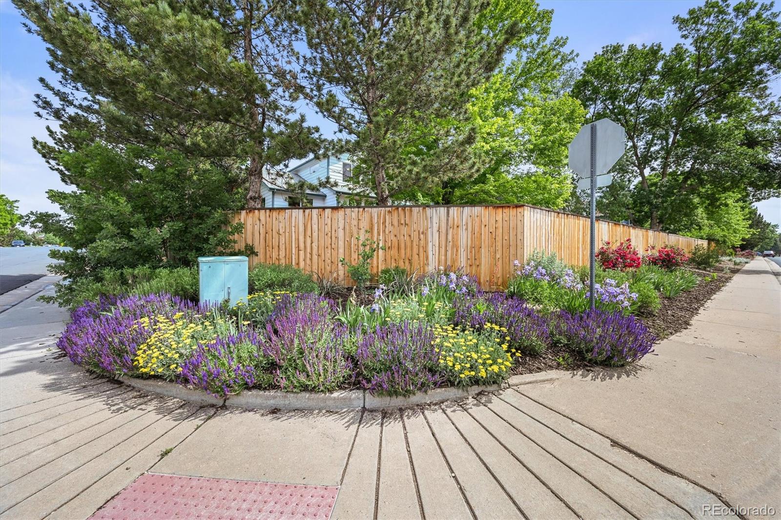 MLS Image #36 for 1190 w 11th court,broomfield, Colorado
