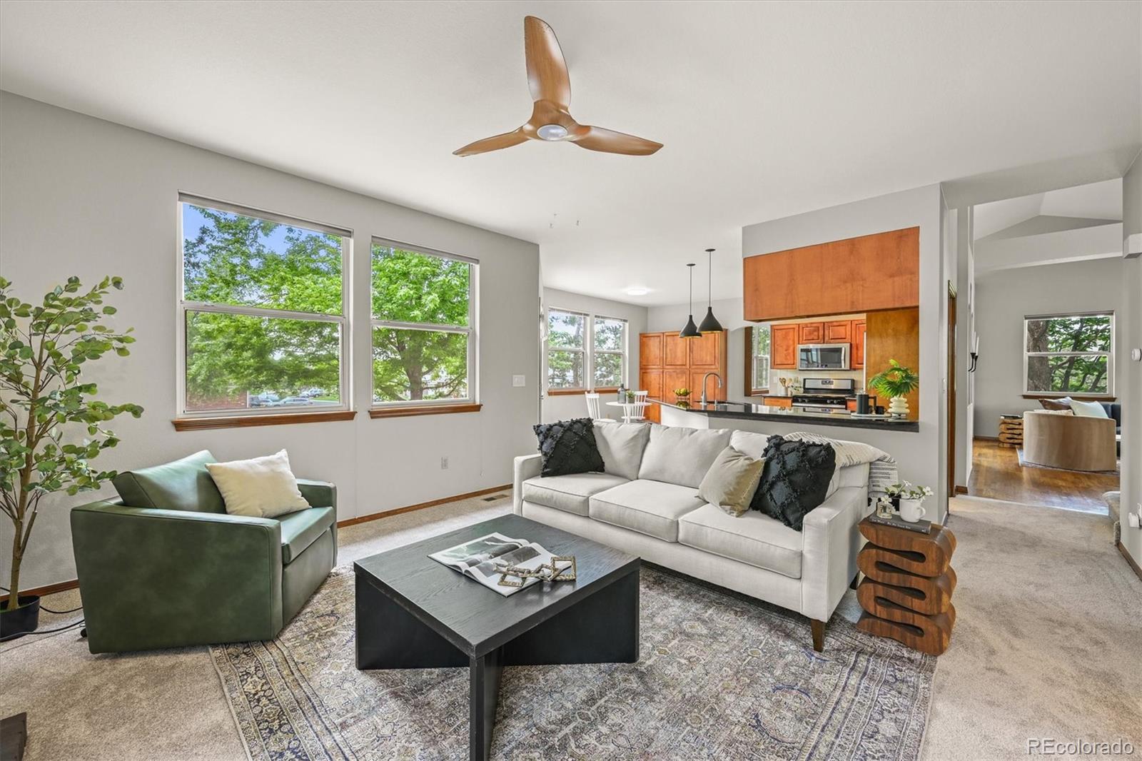 MLS Image #9 for 1190 w 11th court,broomfield, Colorado