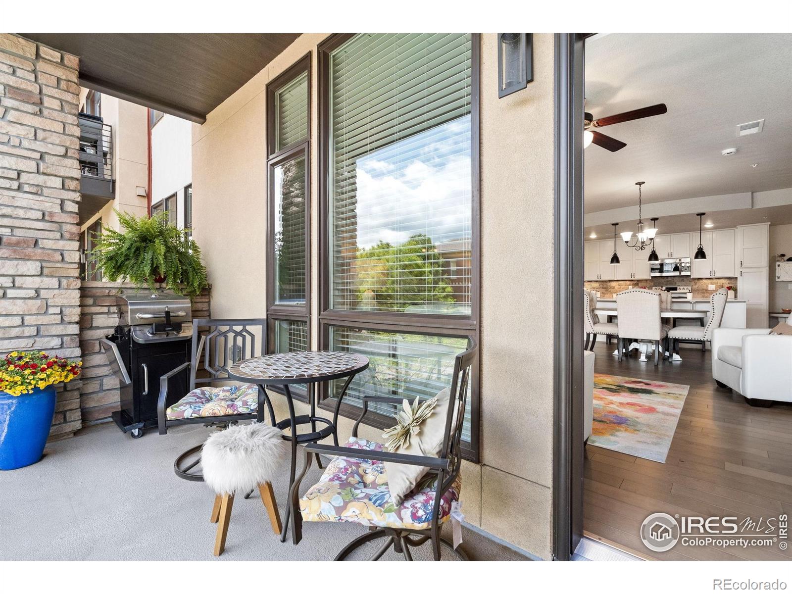 MLS Image #11 for 2751  iowa drive,fort collins, Colorado