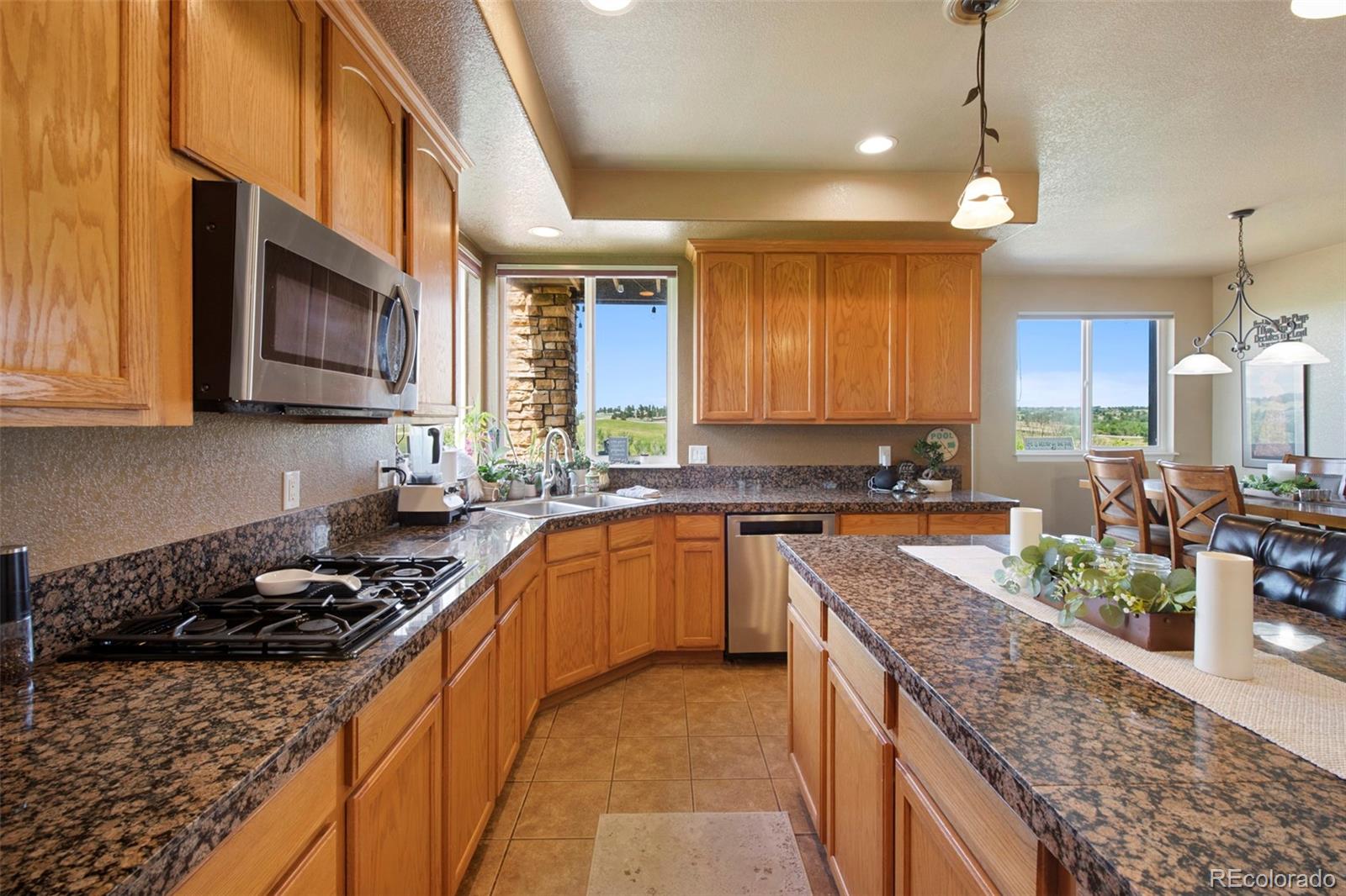 MLS Image #14 for 9928  bluestar drive,parker, Colorado