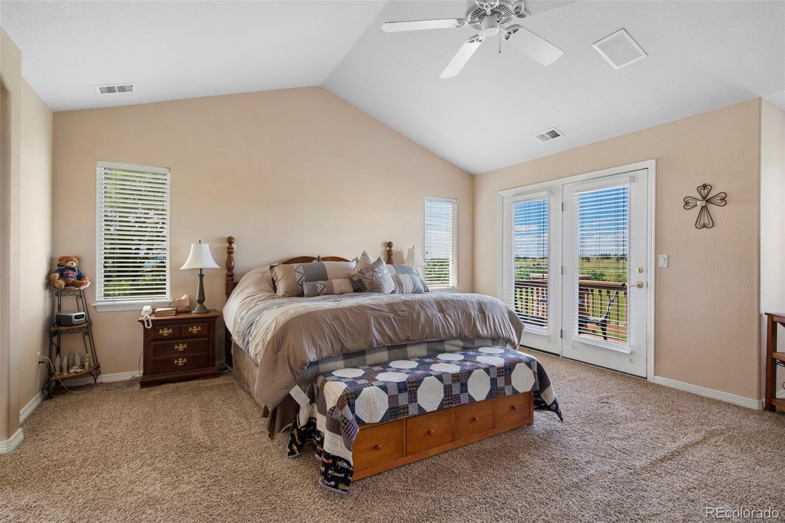MLS Image #24 for 9928  bluestar drive,parker, Colorado