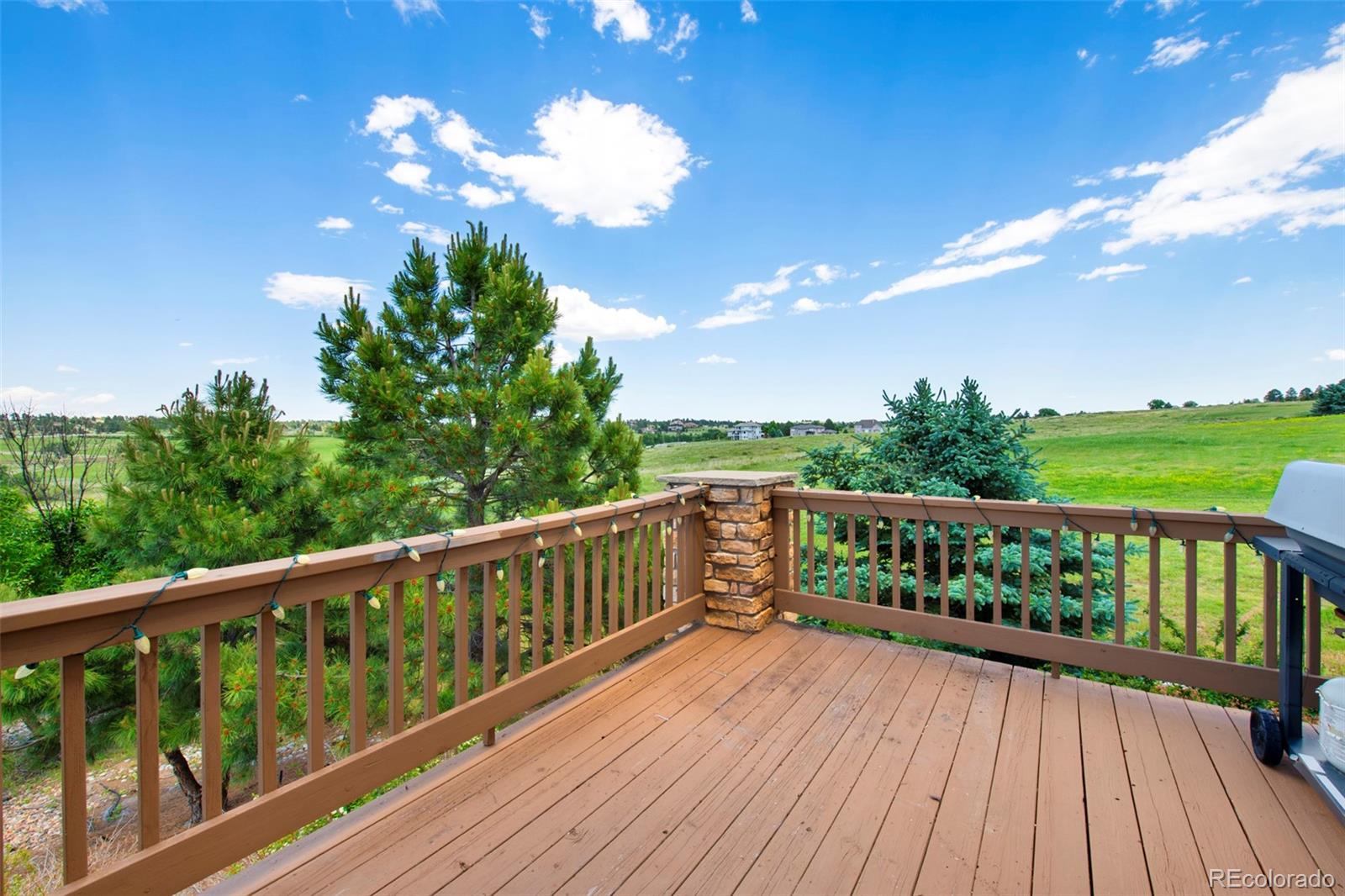 MLS Image #40 for 9928  bluestar drive,parker, Colorado