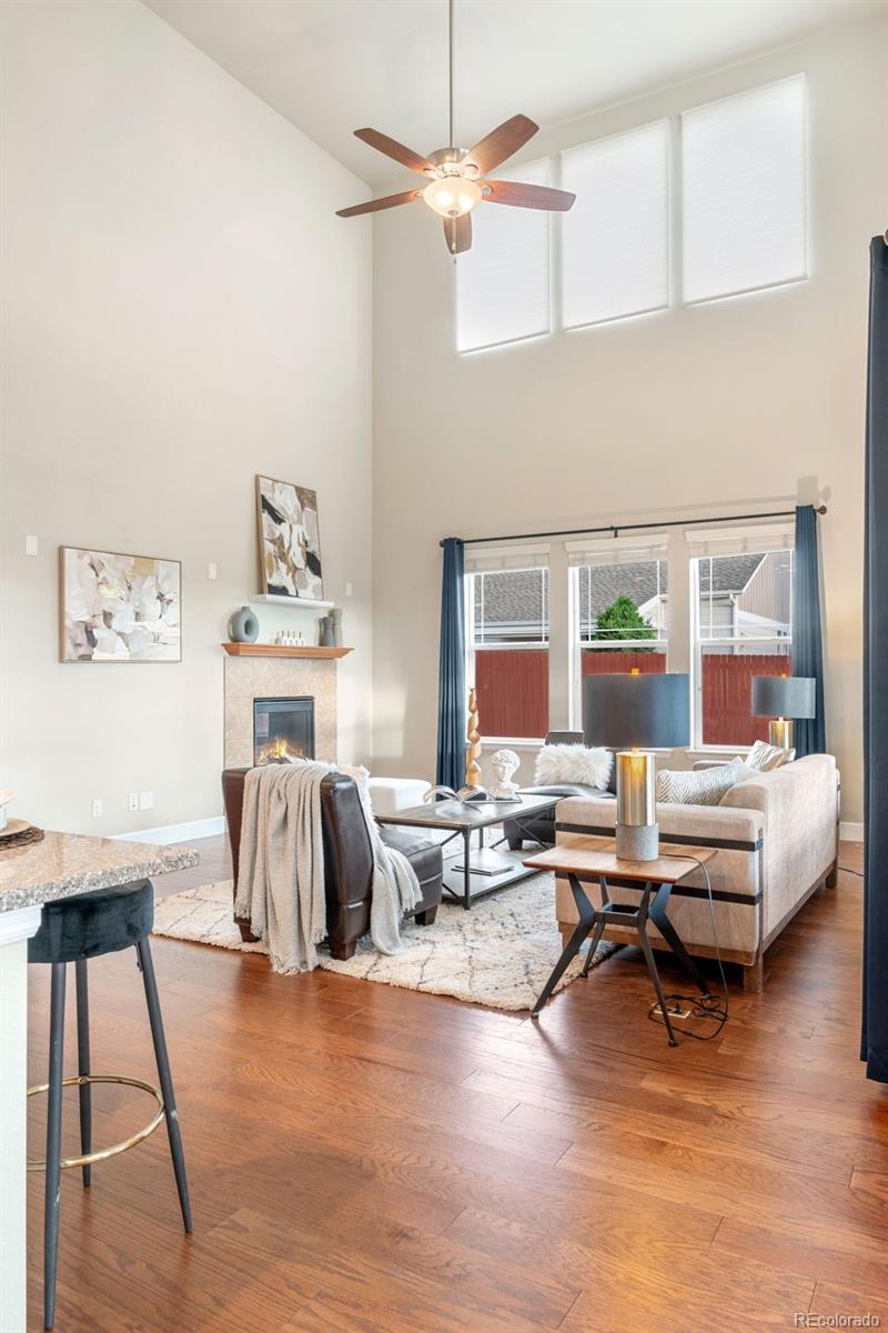 MLS Image #19 for 10003  atlanta street,parker, Colorado