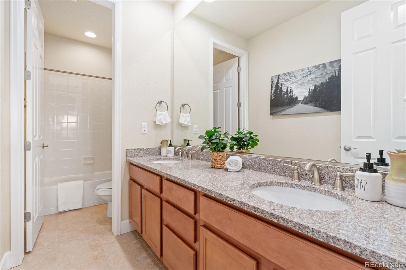 MLS Image #31 for 10003  atlanta street,parker, Colorado