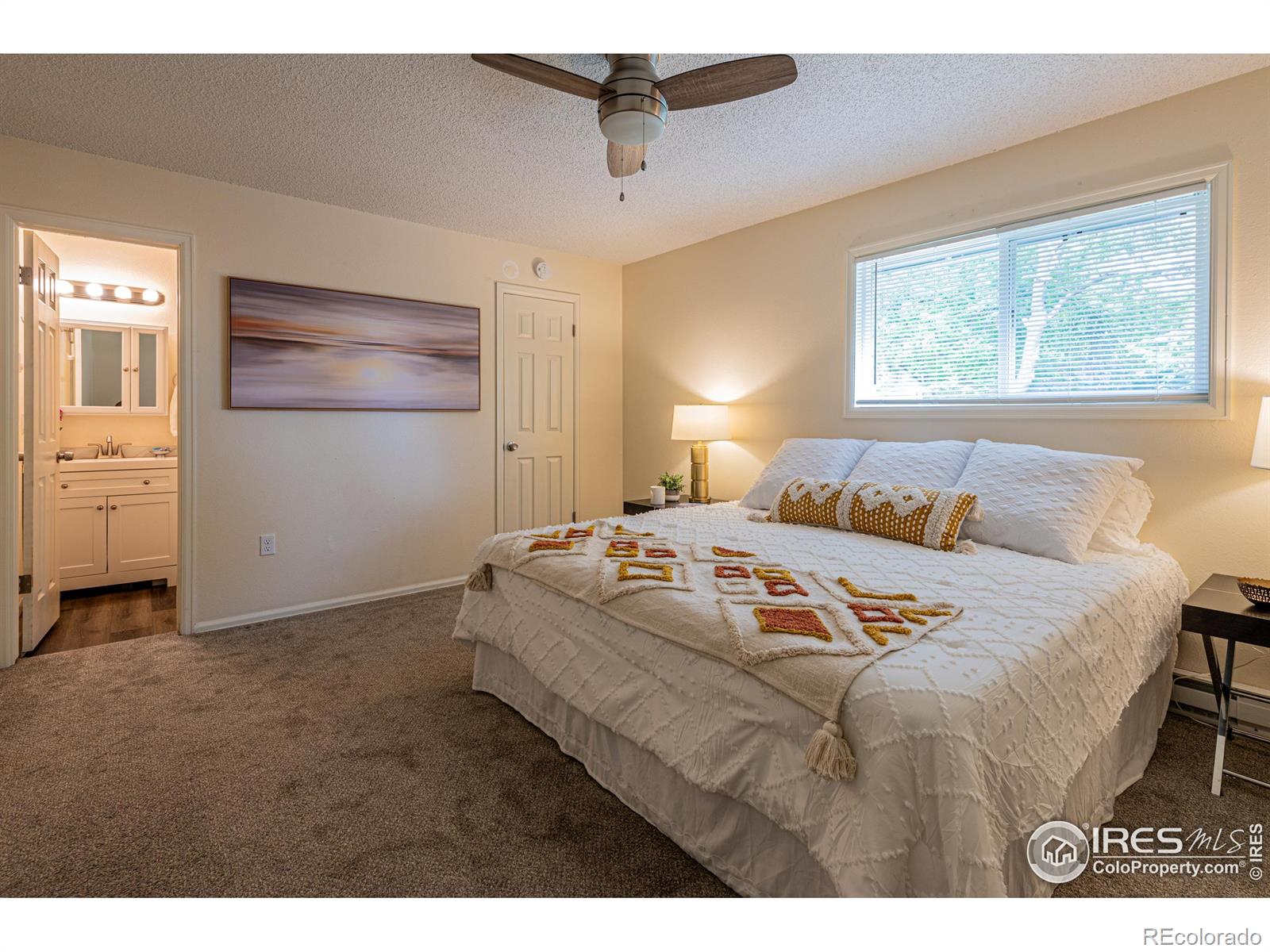 MLS Image #10 for 2230  lincoln street,longmont, Colorado